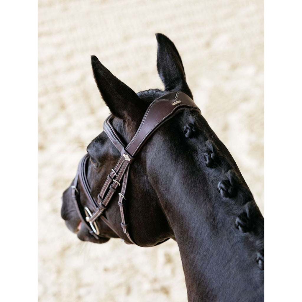 LeMieux Hoofdstel Kudos Contour Flash Bruin