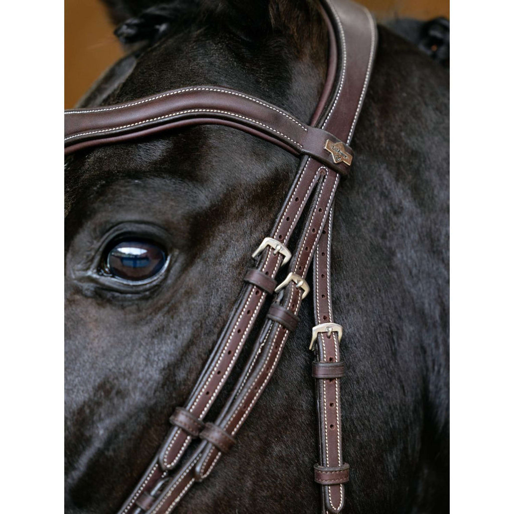 LeMieux Hoofdstel Kudos Contour Flash Bruin