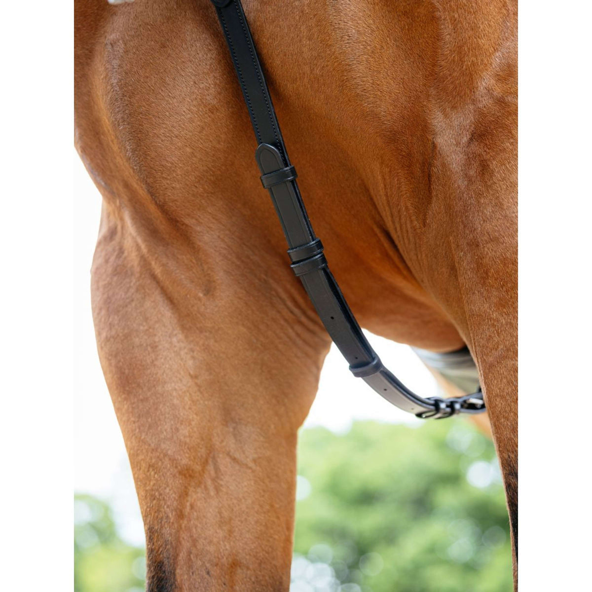 LeMieux Borsttuig Kudos Bridge Zwart