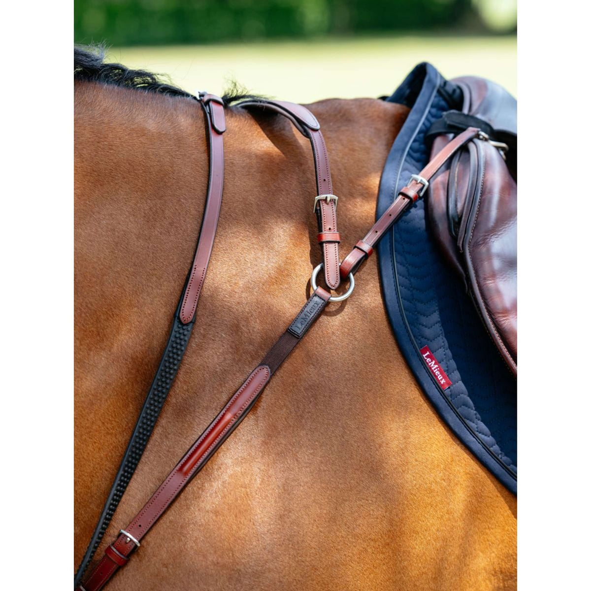 LeMieux Borsttuig D-Ring Attachment Chestnut
