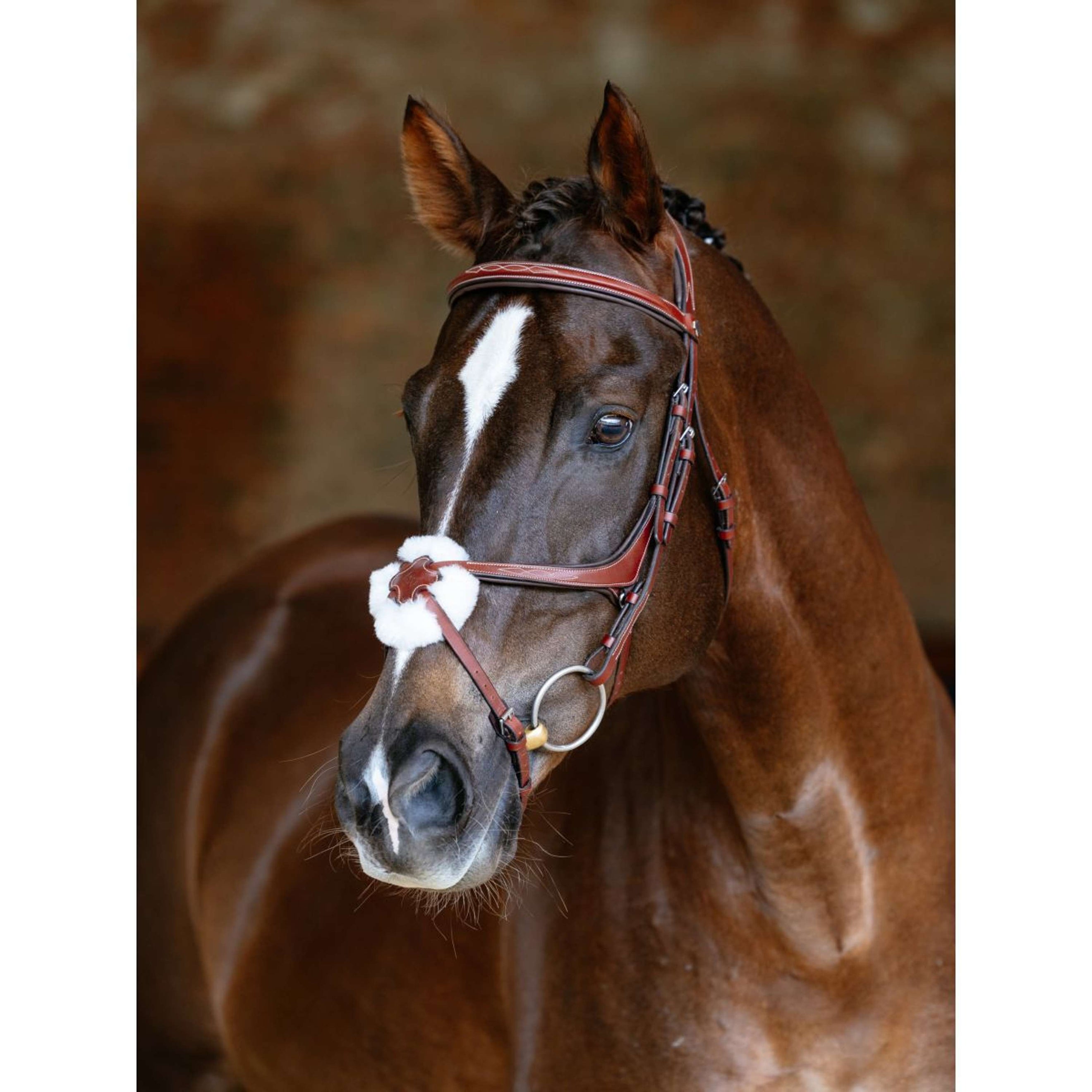 LeMieux Hoofdstel Kudos Grackle Chestnut