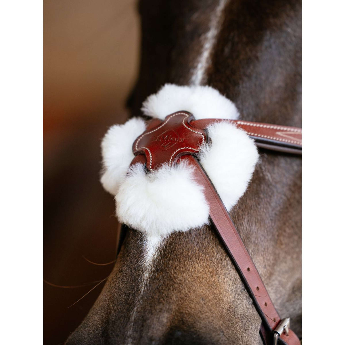 LeMieux Hoofdstel Kudos Grackle Chestnut