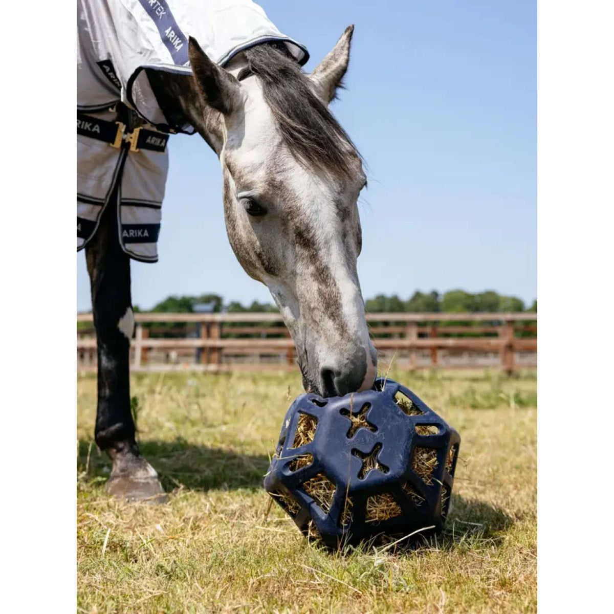 LeMieux Speelbal Hay Navy