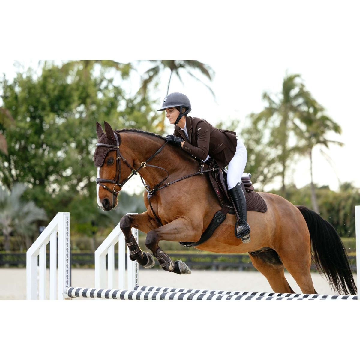 LeMieux Zadeldekje Brilliance Close Contact Square Springen Espresso