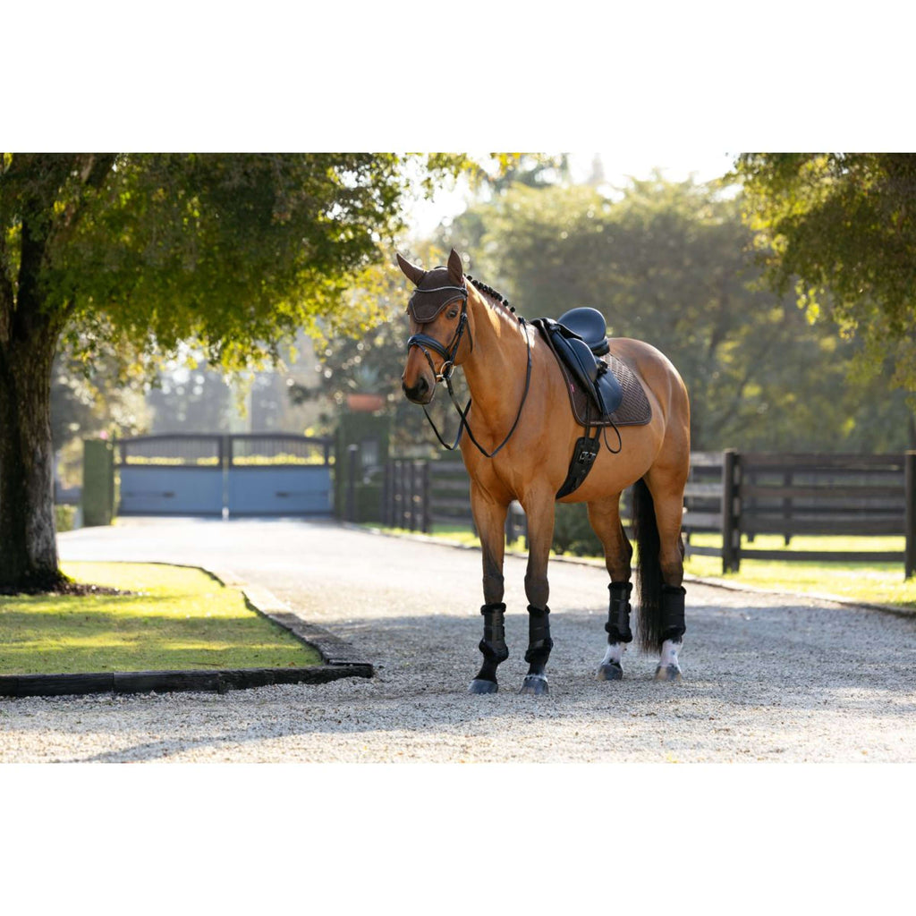 LeMieux Zadeldekje Brilliance Dressuur Espresso