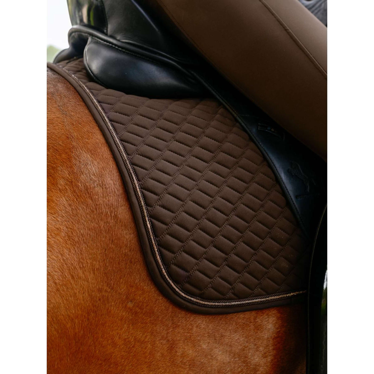 LeMieux Zadeldekje Brilliance Dressuur Espresso
