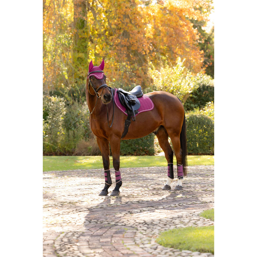 LeMieux Zadeldekje Suede Close Contact Square Springen Blackberry