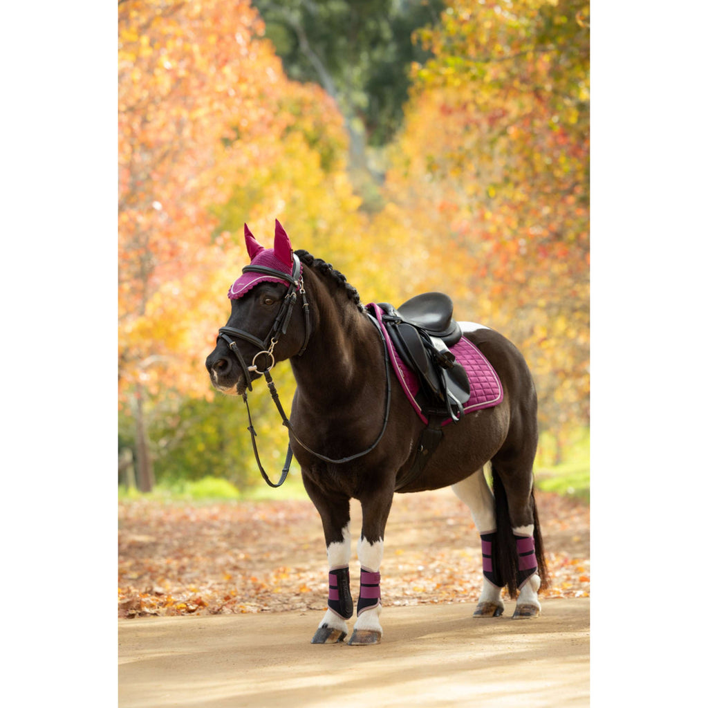 LeMieux Zadeldekje Suede Close Contact Square Springen Blackberry