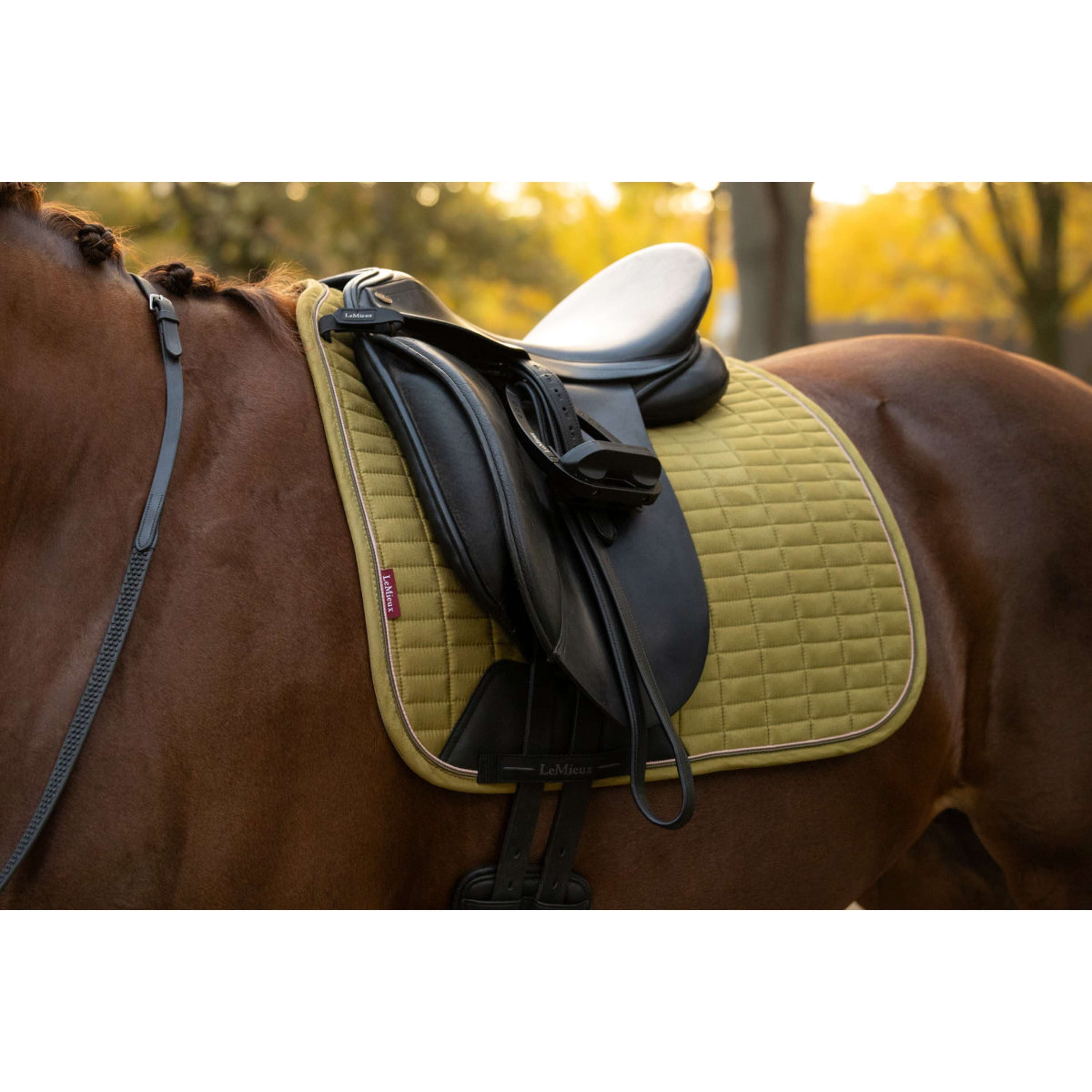 LeMieux Zadeldekje Suede Square Dressuur Gooseberry