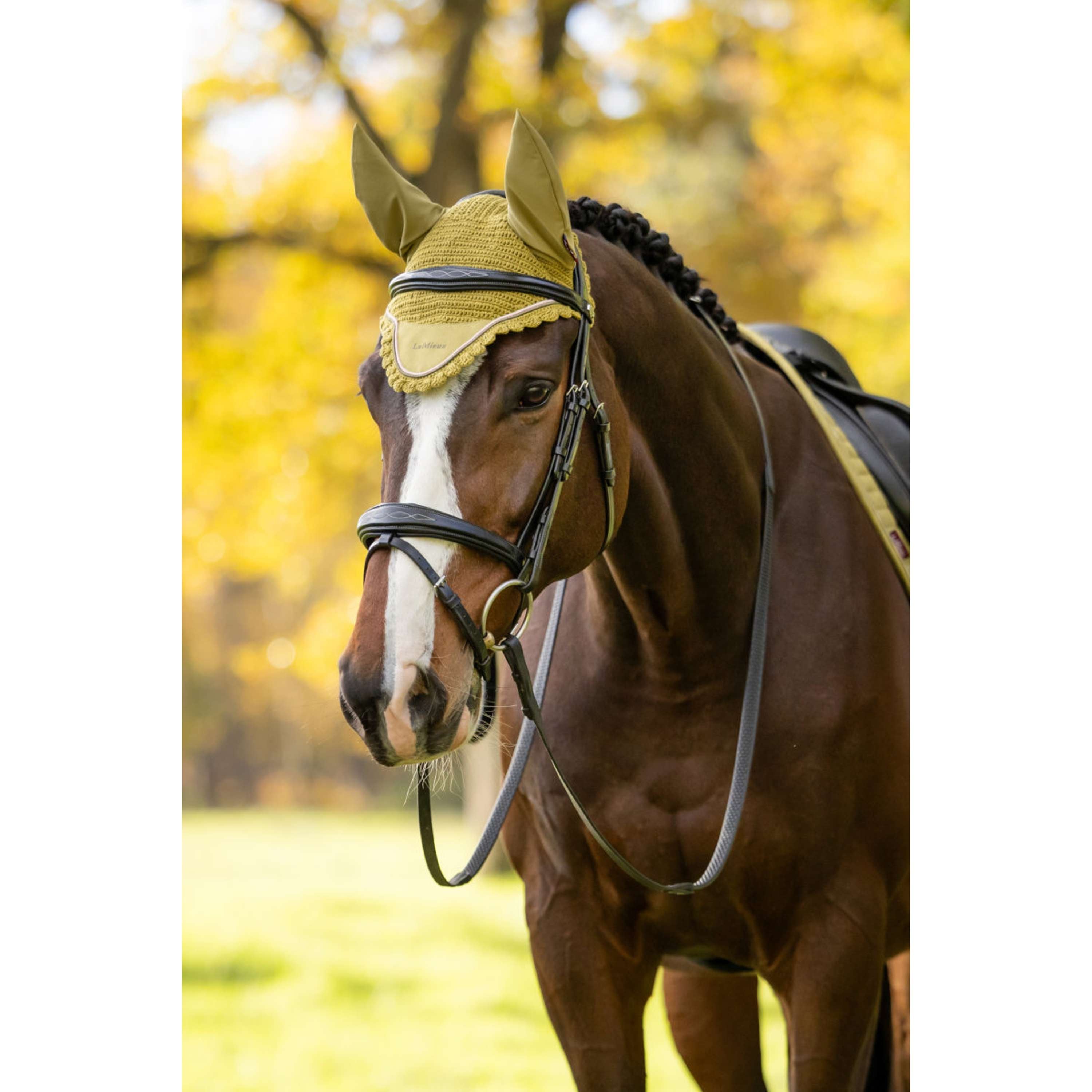 LeMieux Oornetje Classique Gooseberry