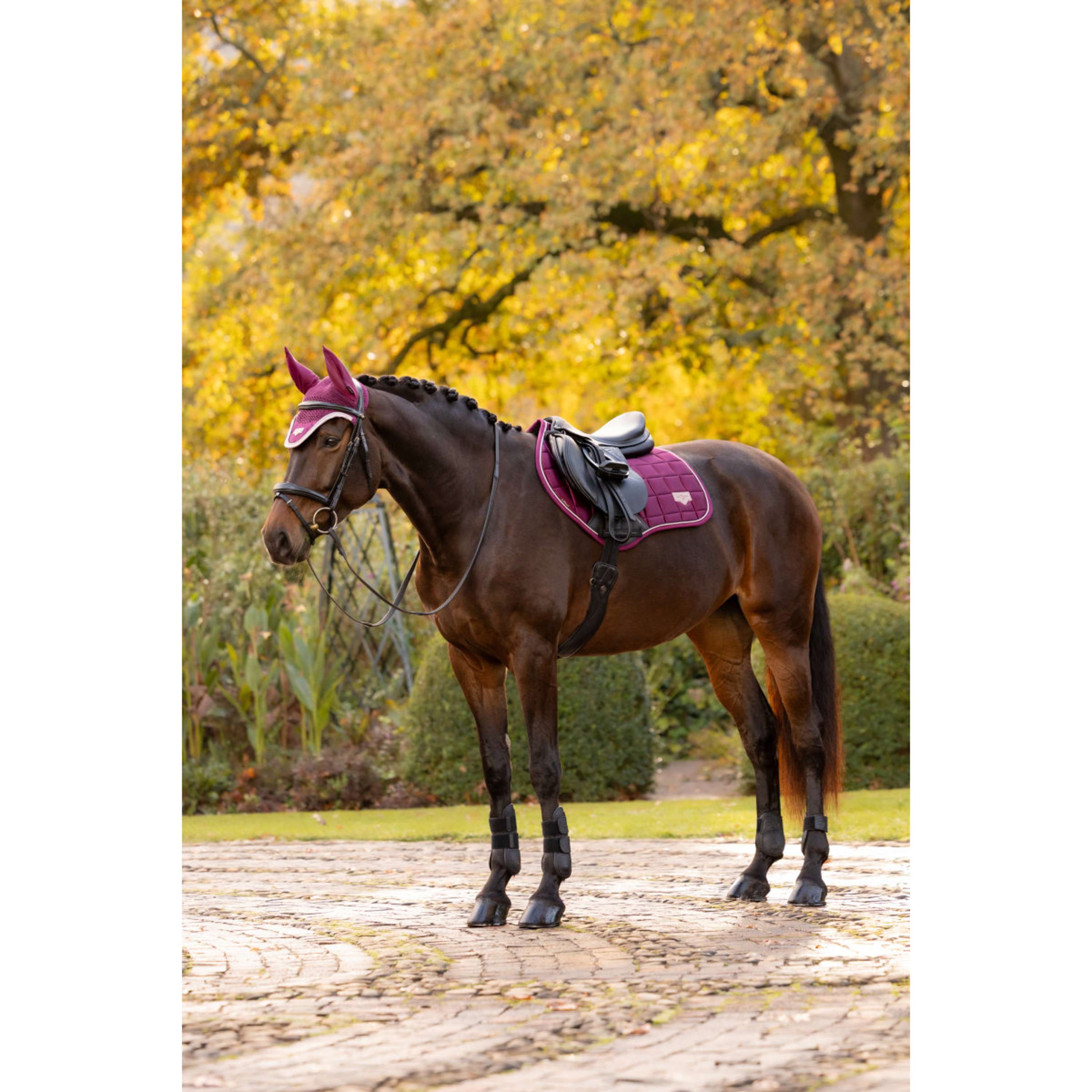 LeMieux Zadeldekje Loire Classic Close Contact Square Springen Blackberry