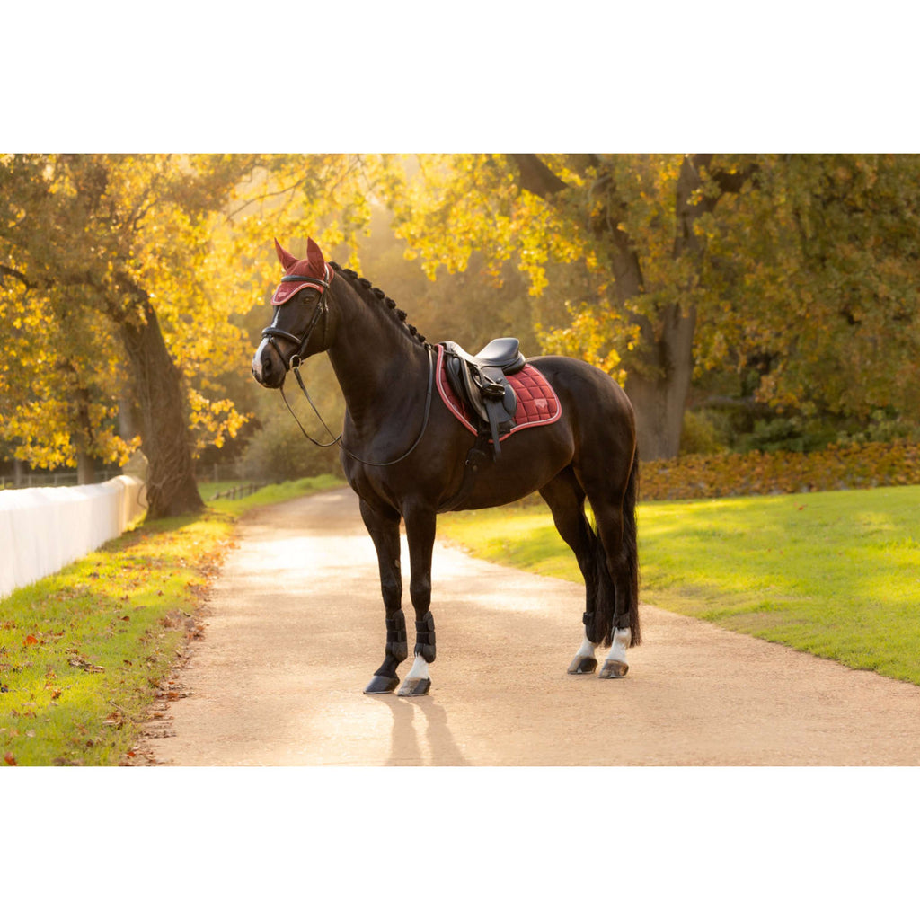 LeMieux Zadeldekje Loire Classic Close Contact Square Springen Russet