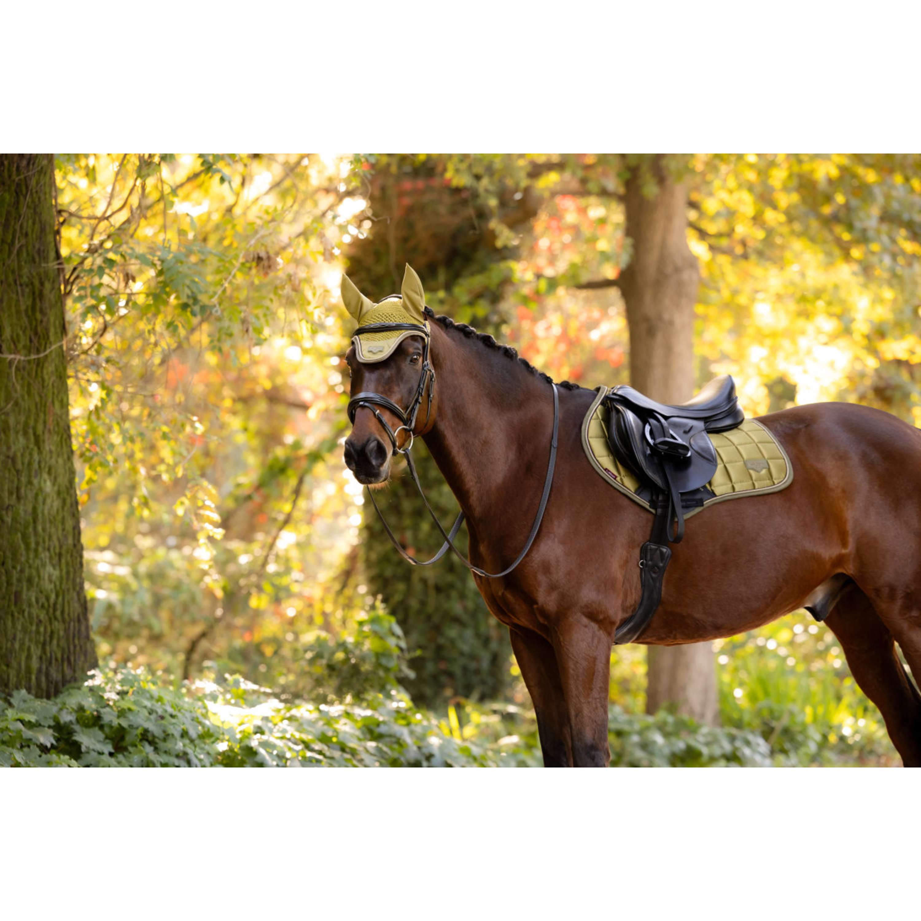 LeMieux Zadeldekje Loire Classic Close Contact Square Springen Gooseberry