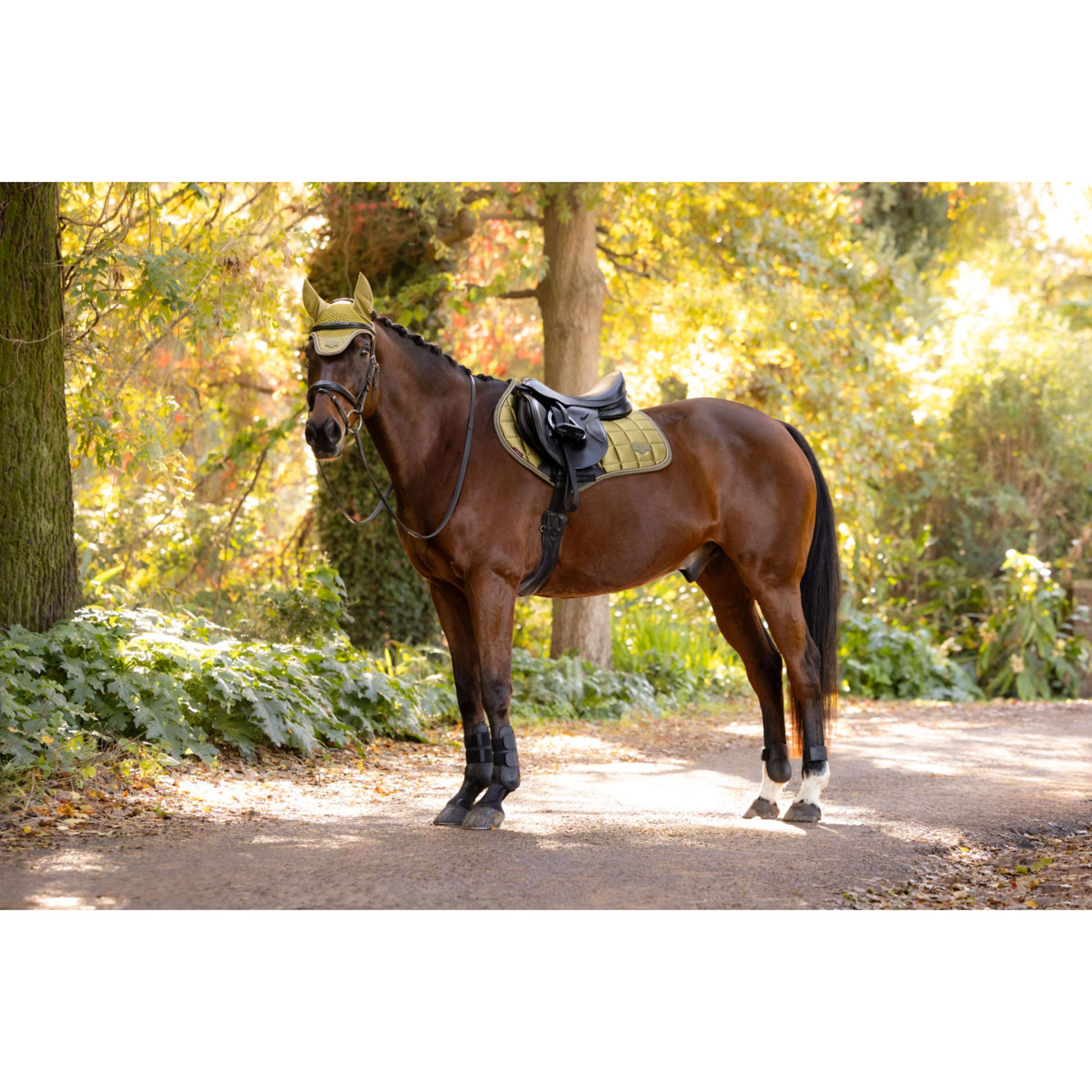 LeMieux Zadeldekje Loire Classic Close Contact Square Springen Gooseberry