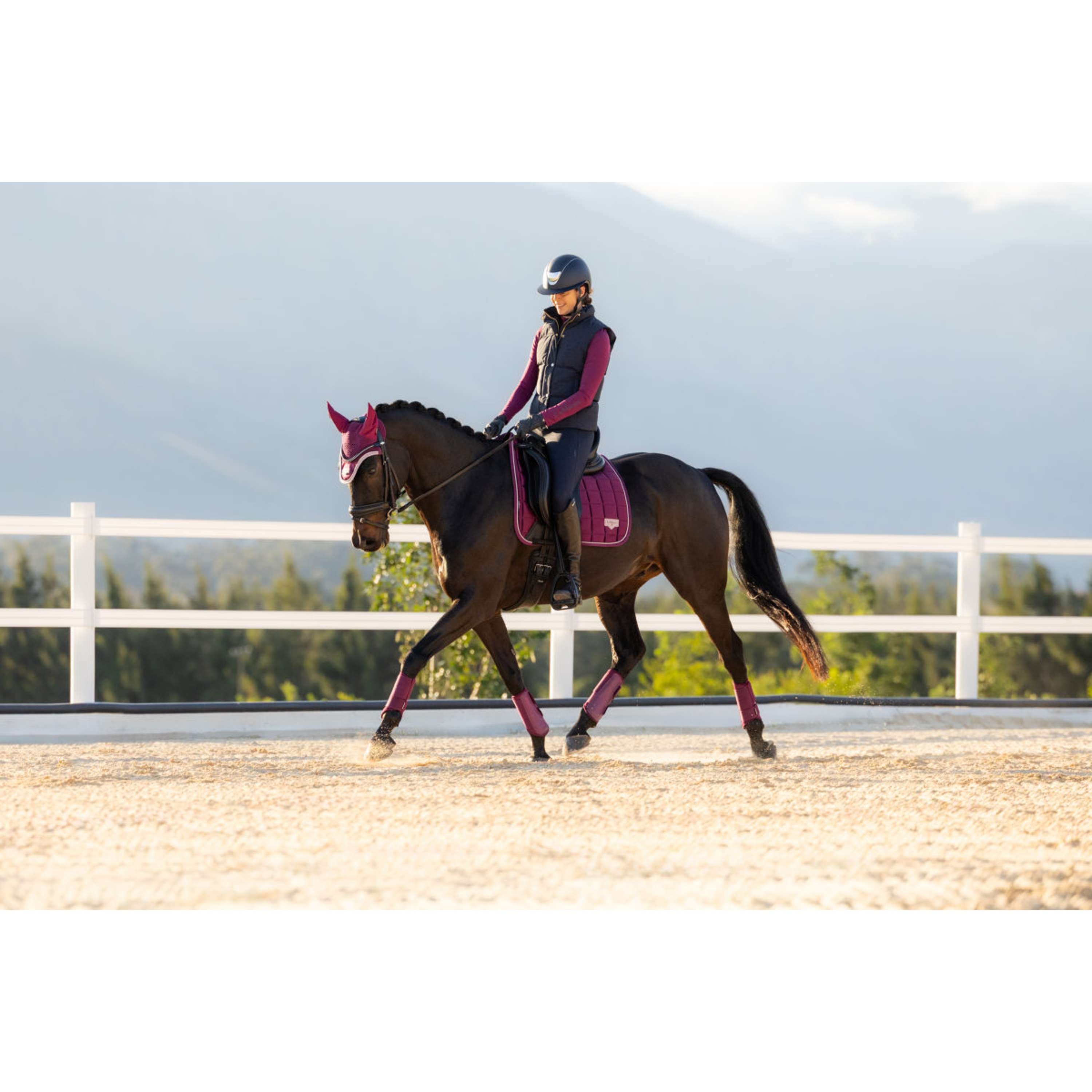 LeMieux Zadeldekje Loire Classic Square Dressuur Blackberry