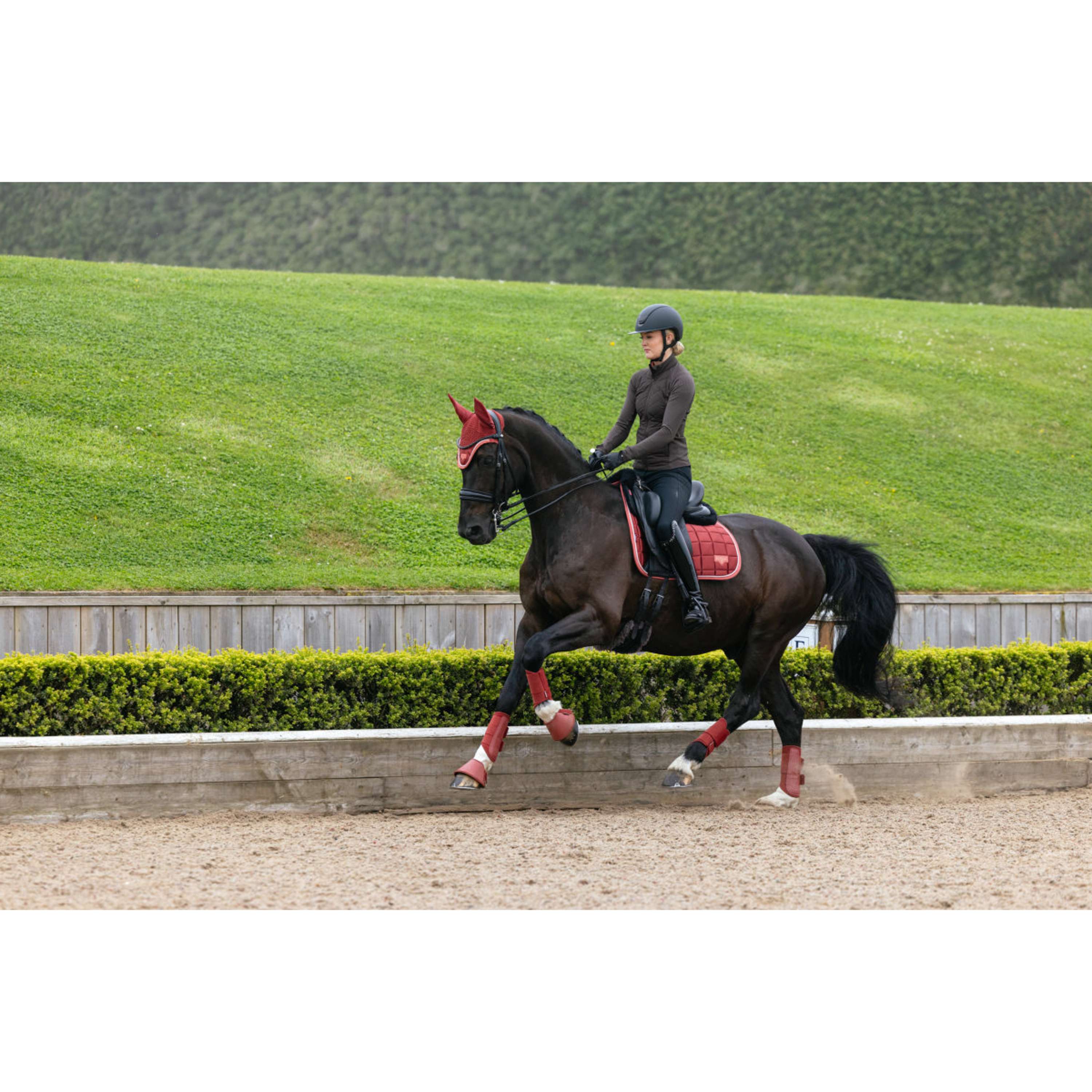 LeMieux Zadeldekje Loire Classic Square Dressuur Russet