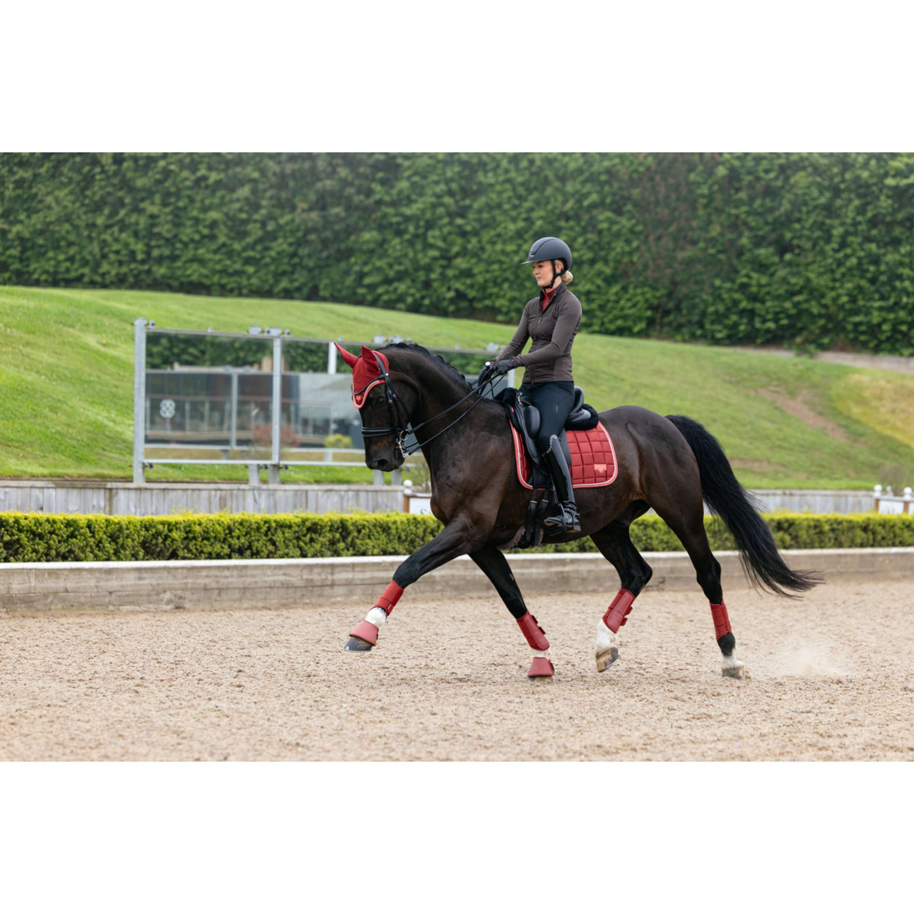 LeMieux Zadeldekje Loire Classic Square Dressuur Russet