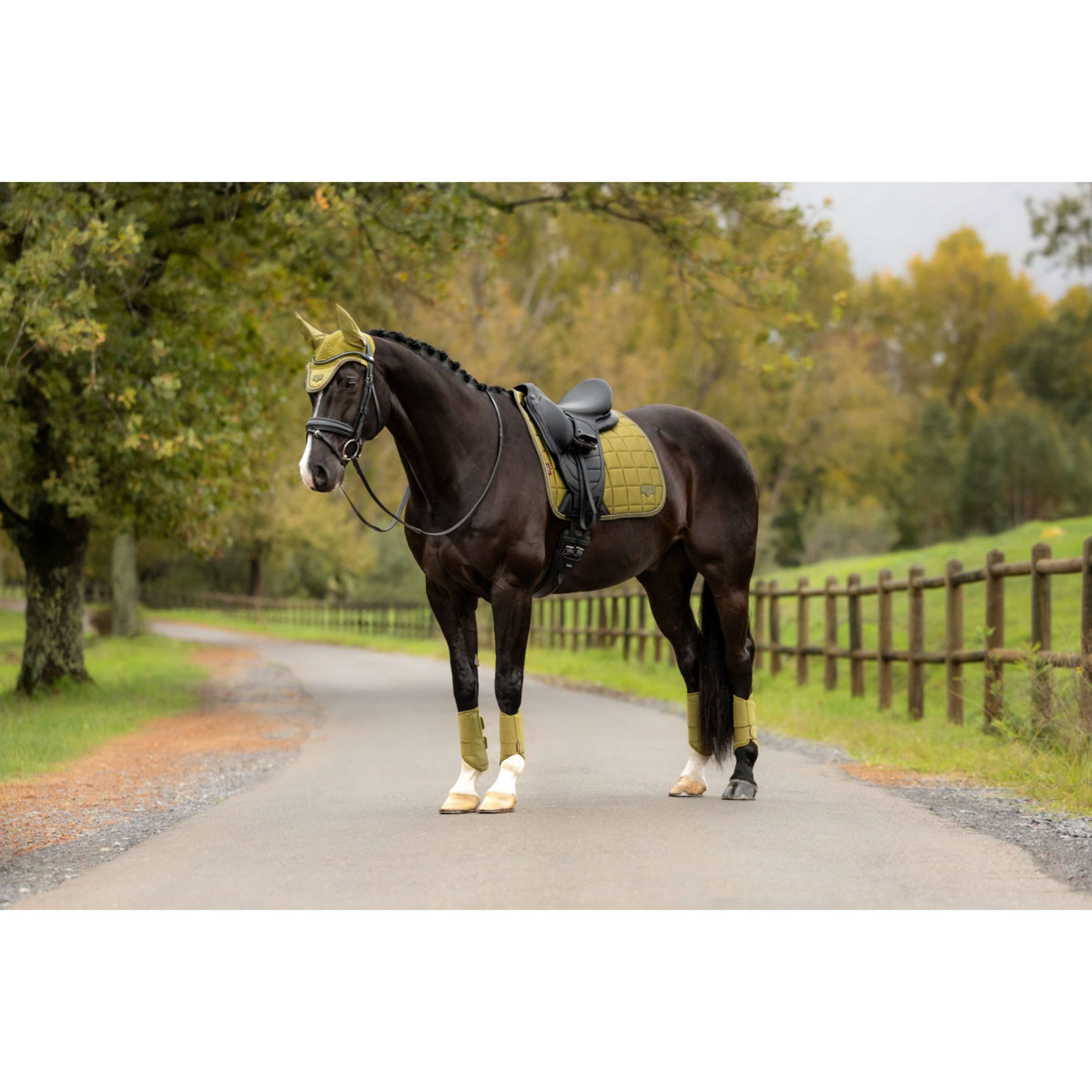 LeMieux Zadeldekje Loire Classic Square Dressuur Gooseberry