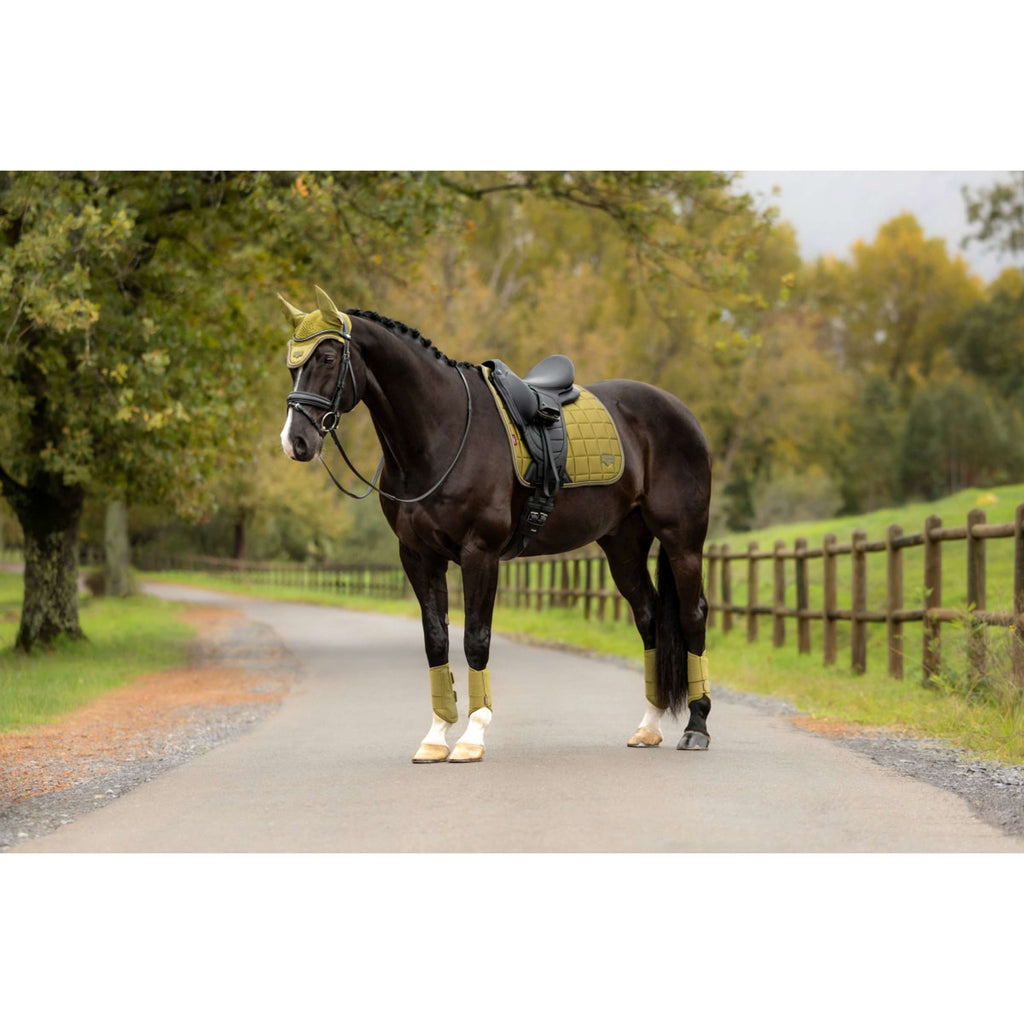 LeMieux Zadeldekje Loire Classic Square Dressuur Gooseberry