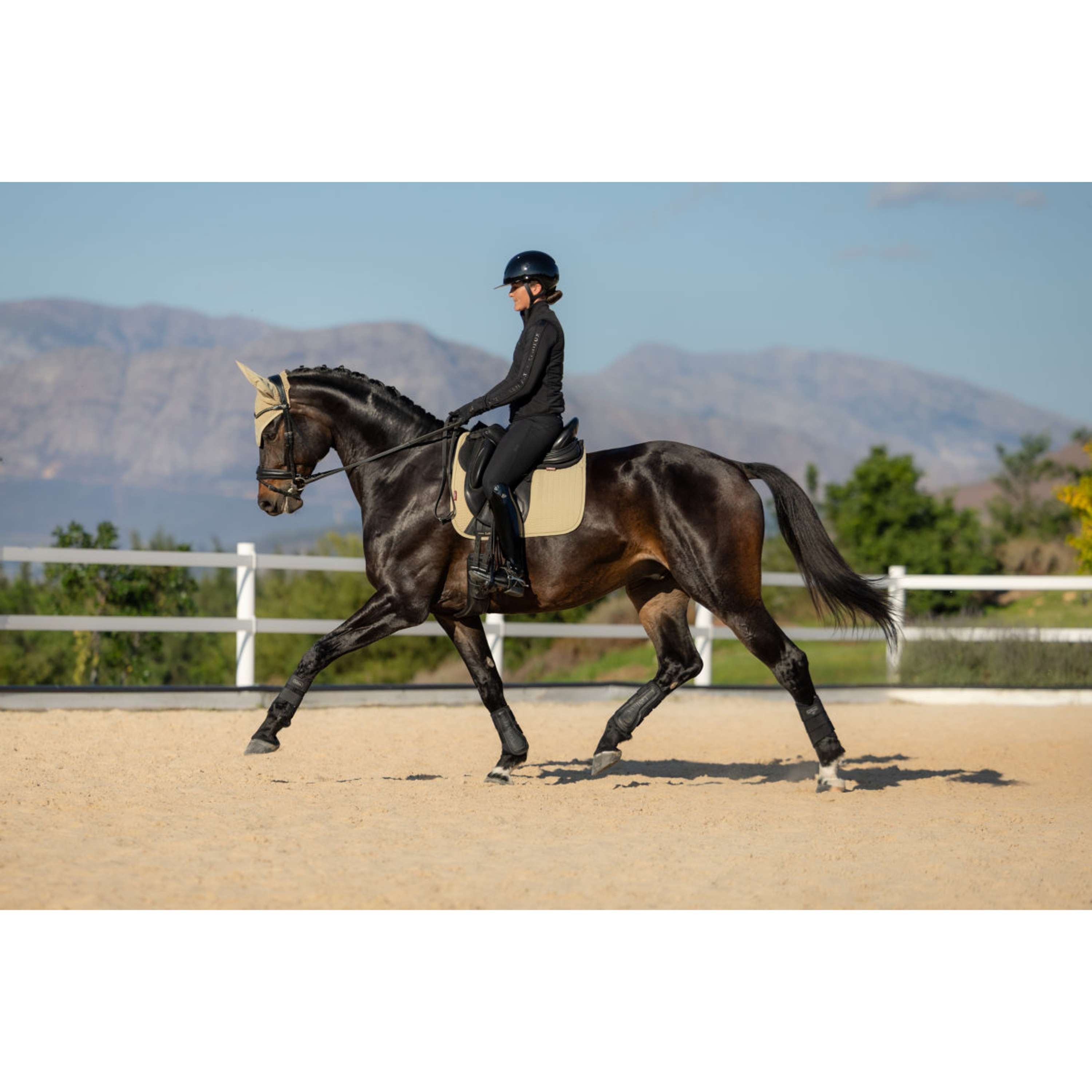 LeMieux Zadeldekje Essence Dressuur Pear