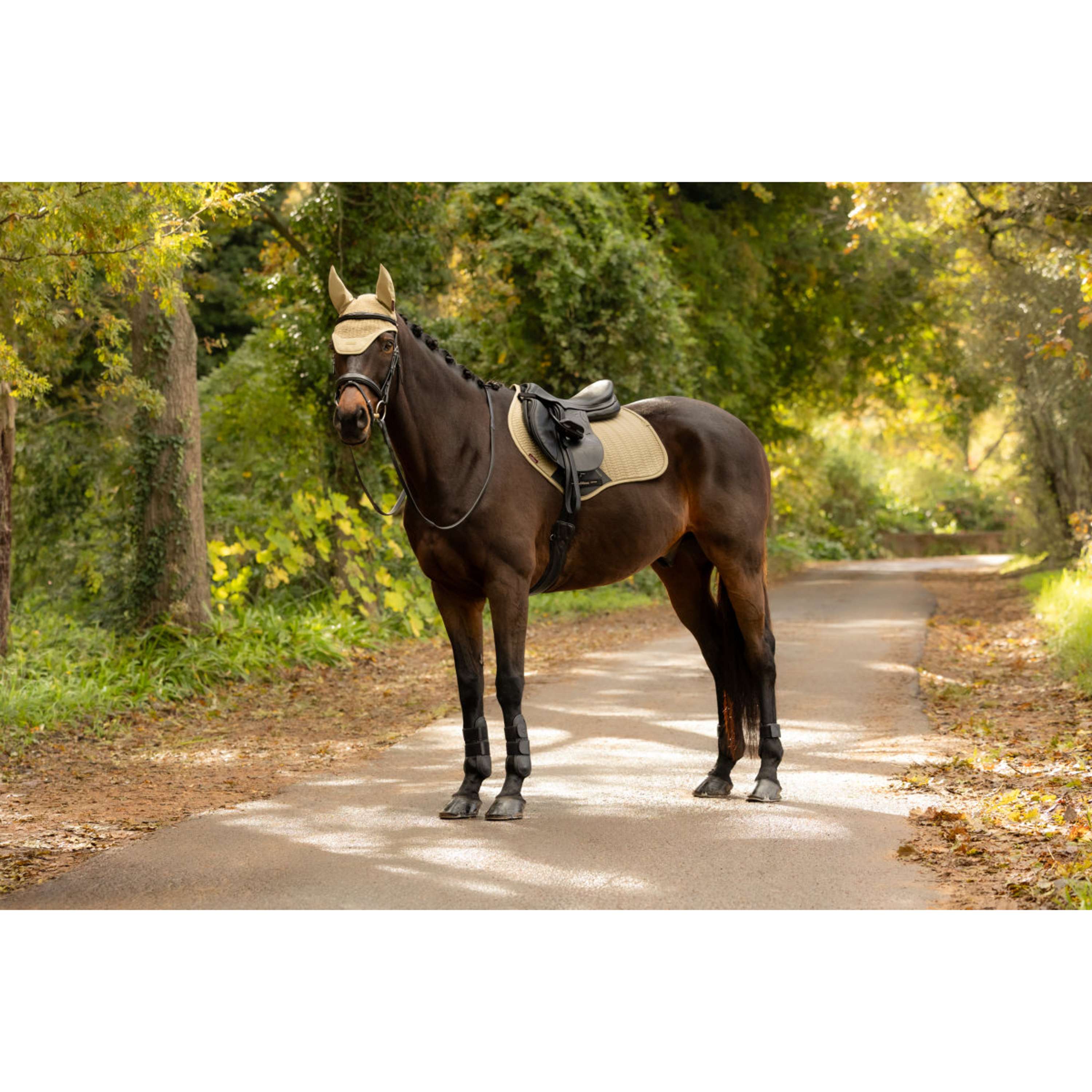 LeMieux Zadeldekje Essence Close Contact Square Springen Pear