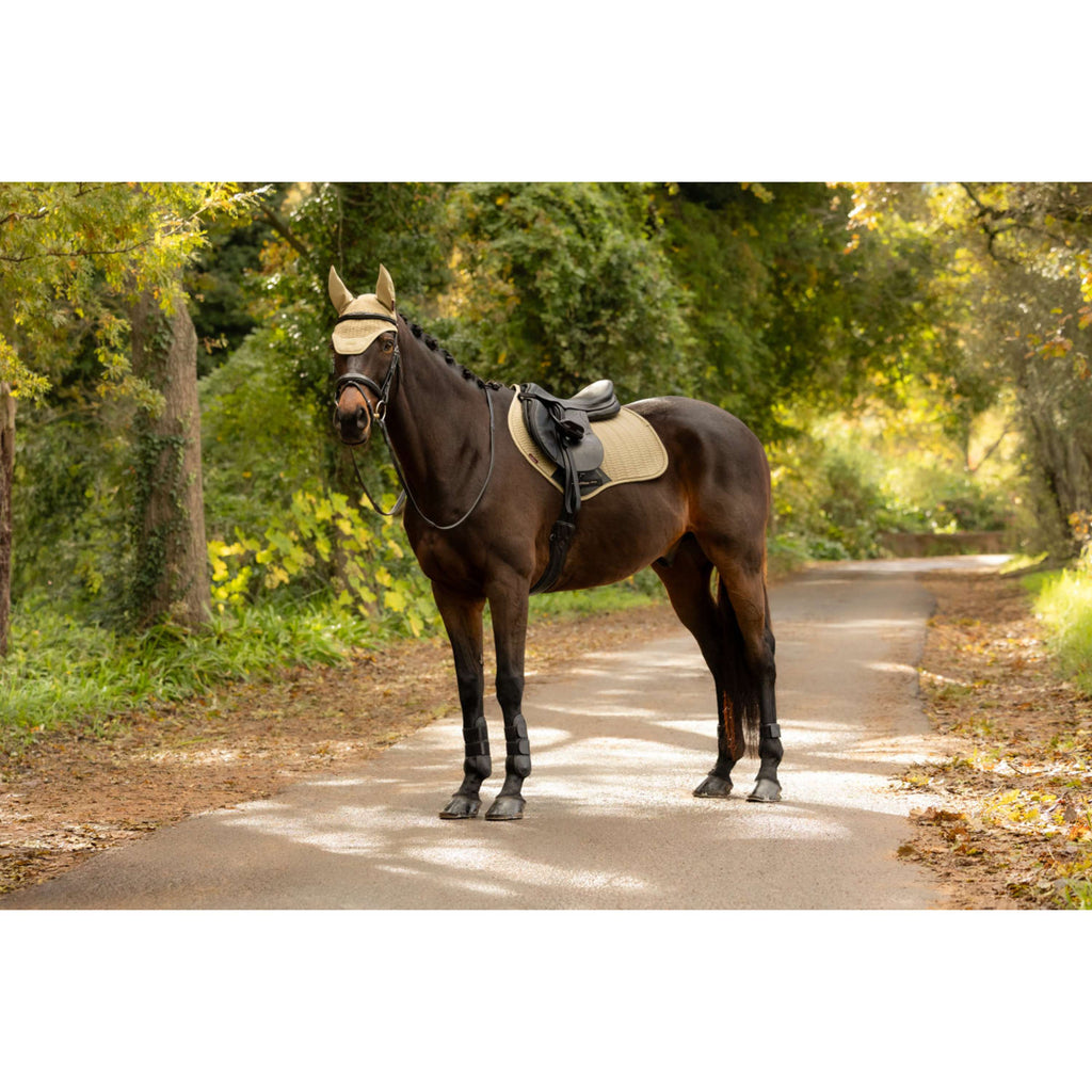 LeMieux Zadeldekje Essence Close Contact Square Springen Pear