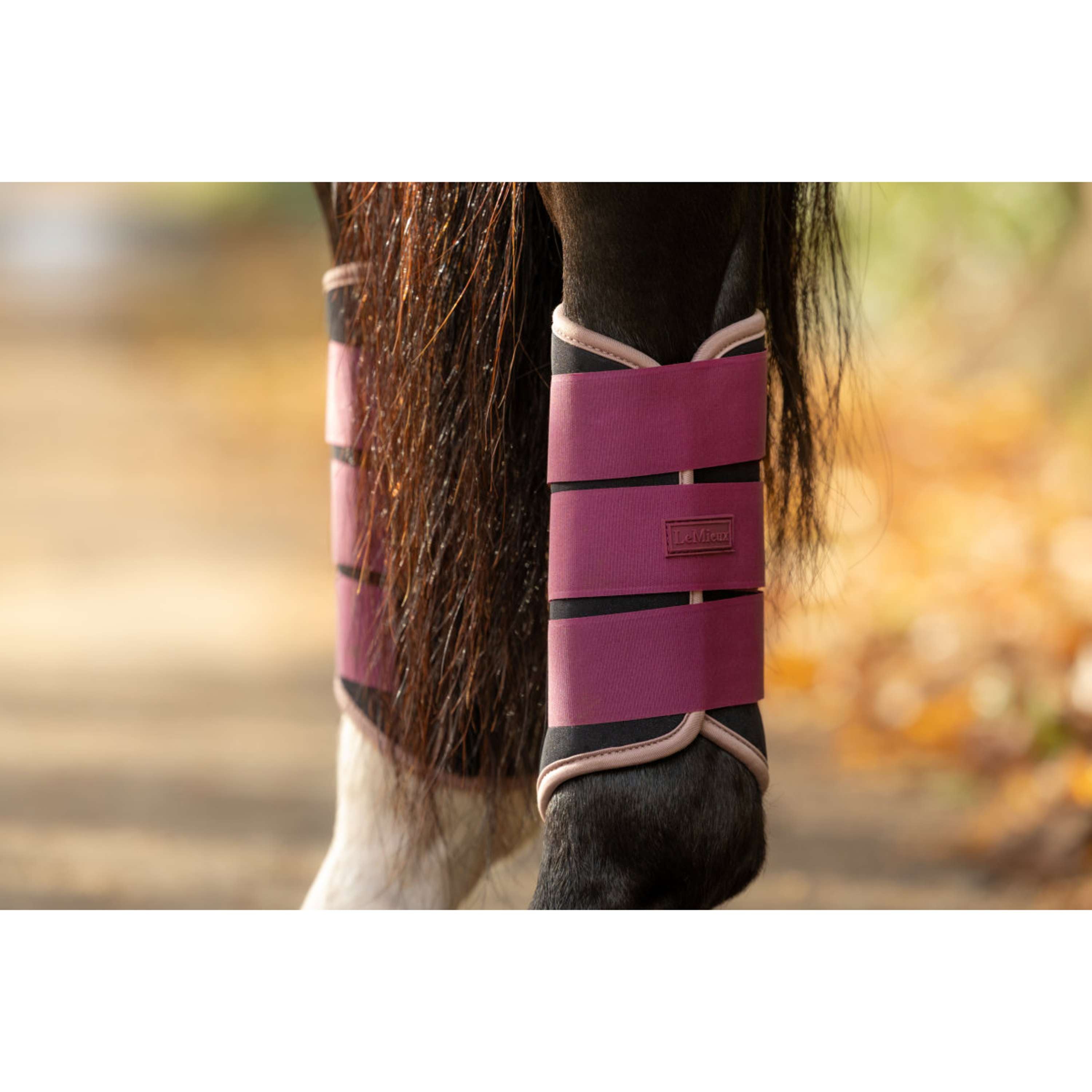 LeMieux Beenbeschermers Air-Tek Grafter Blackberry