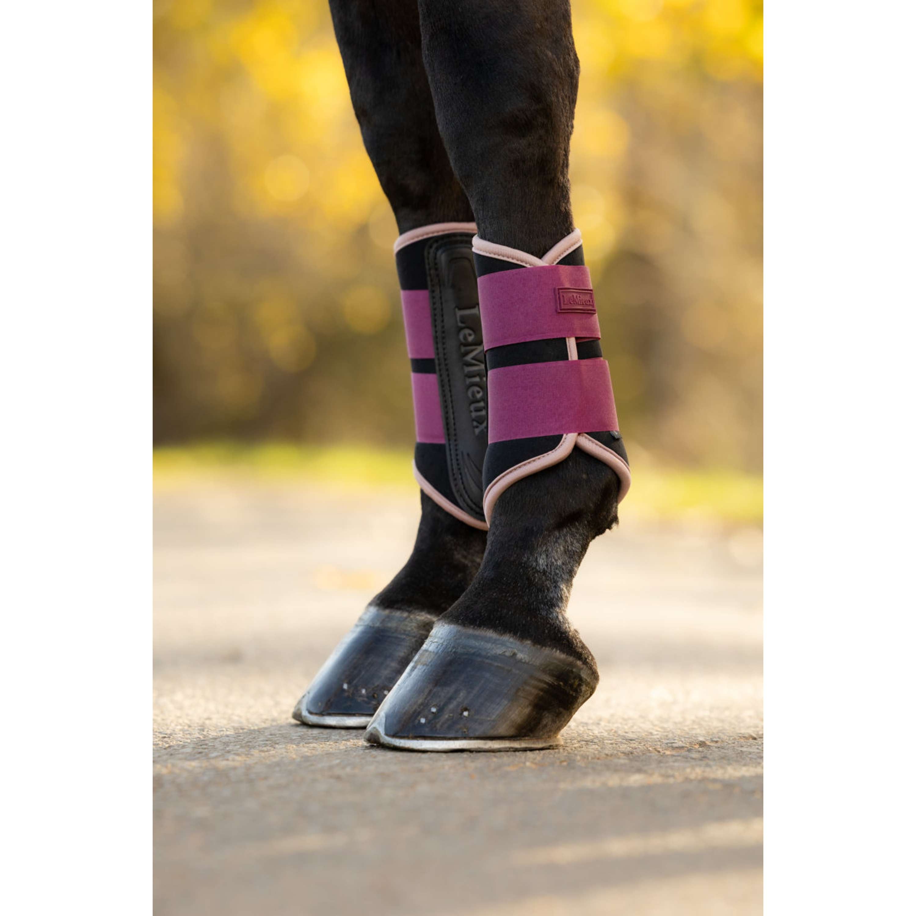 LeMieux Beenbeschermers Air-Tek Grafter Blackberry