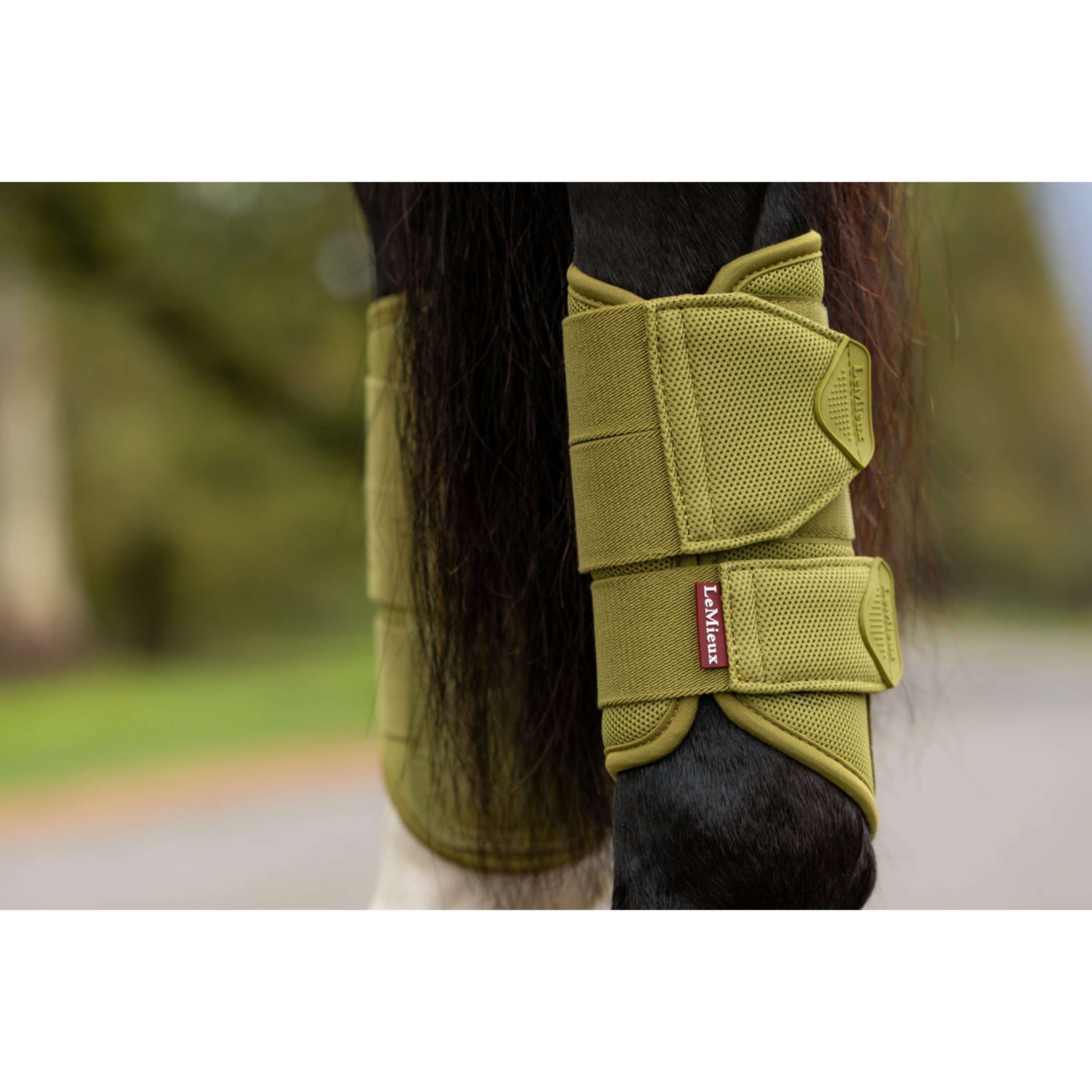 LeMieux Beenbeschermers Arika Mesh Gooseberry