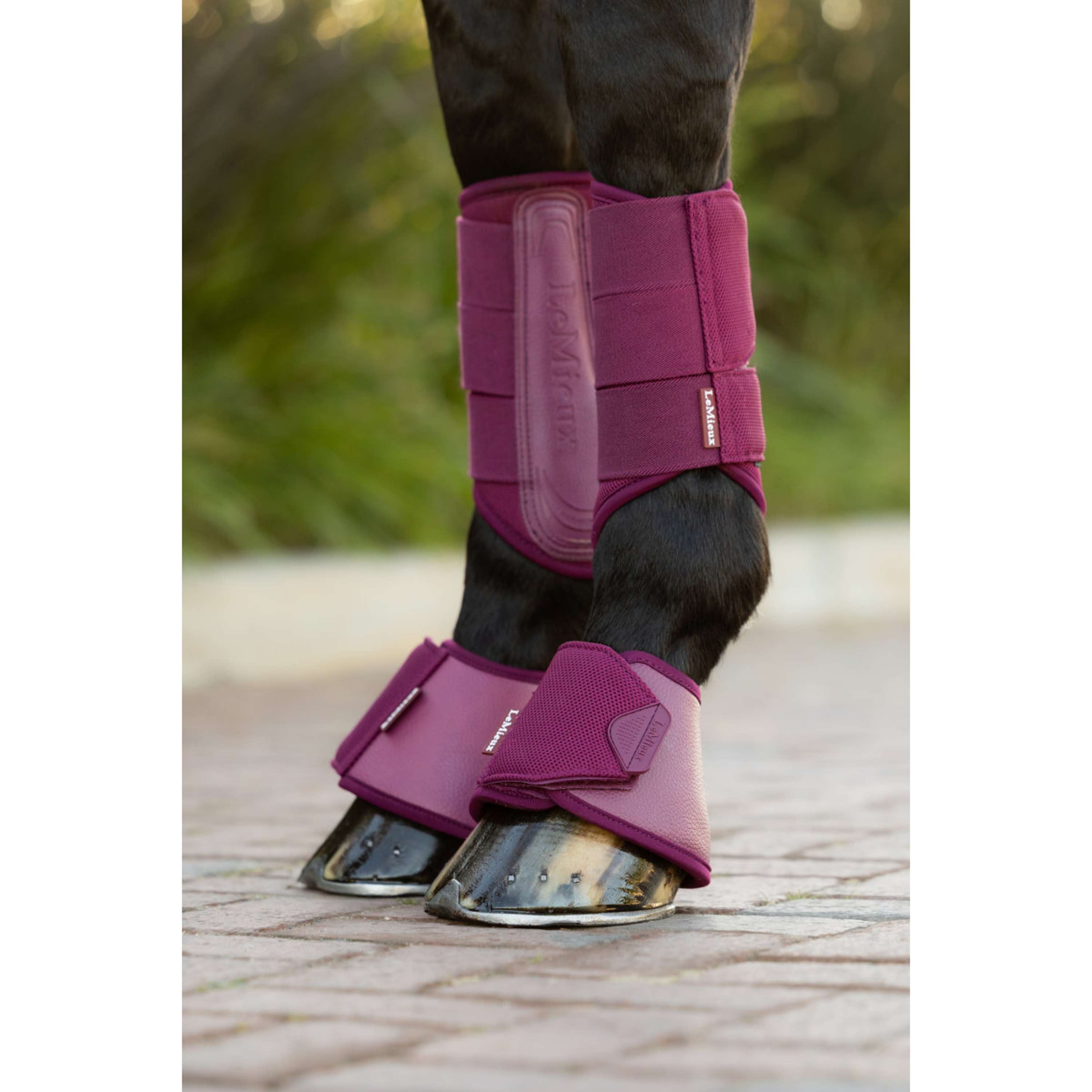 LeMieux Springschoenen Arika Blackberry
