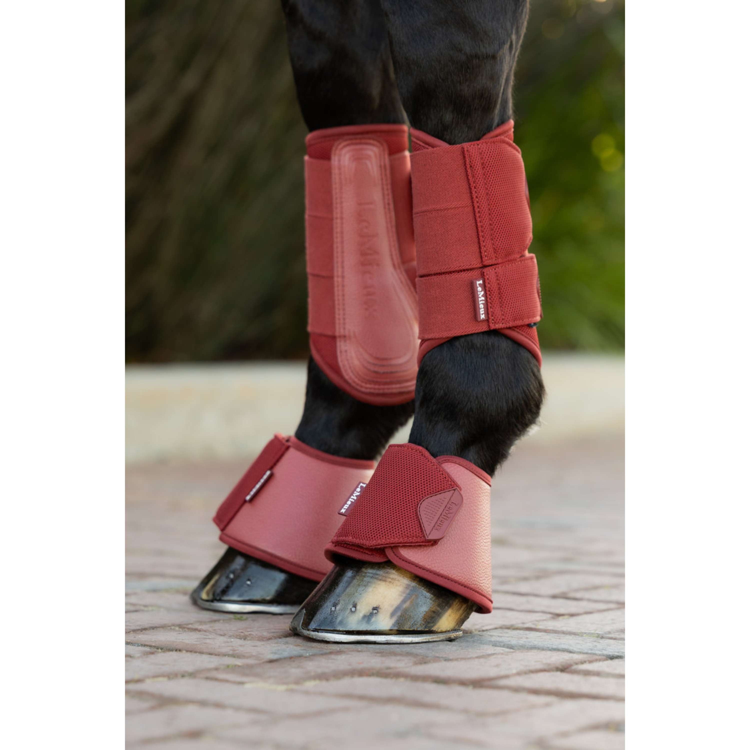LeMieux Springschoenen Arika Russet