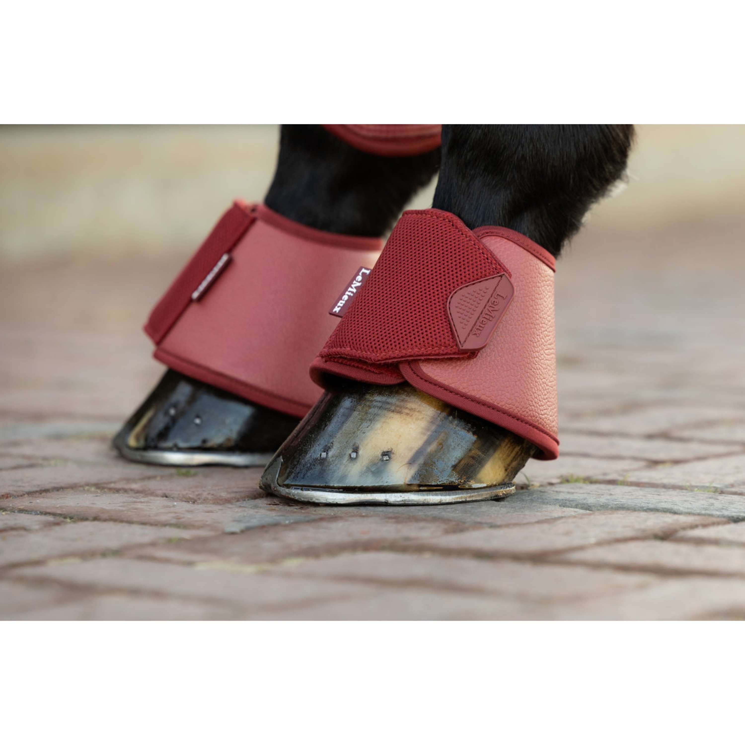 LeMieux Springschoenen Arika Russet