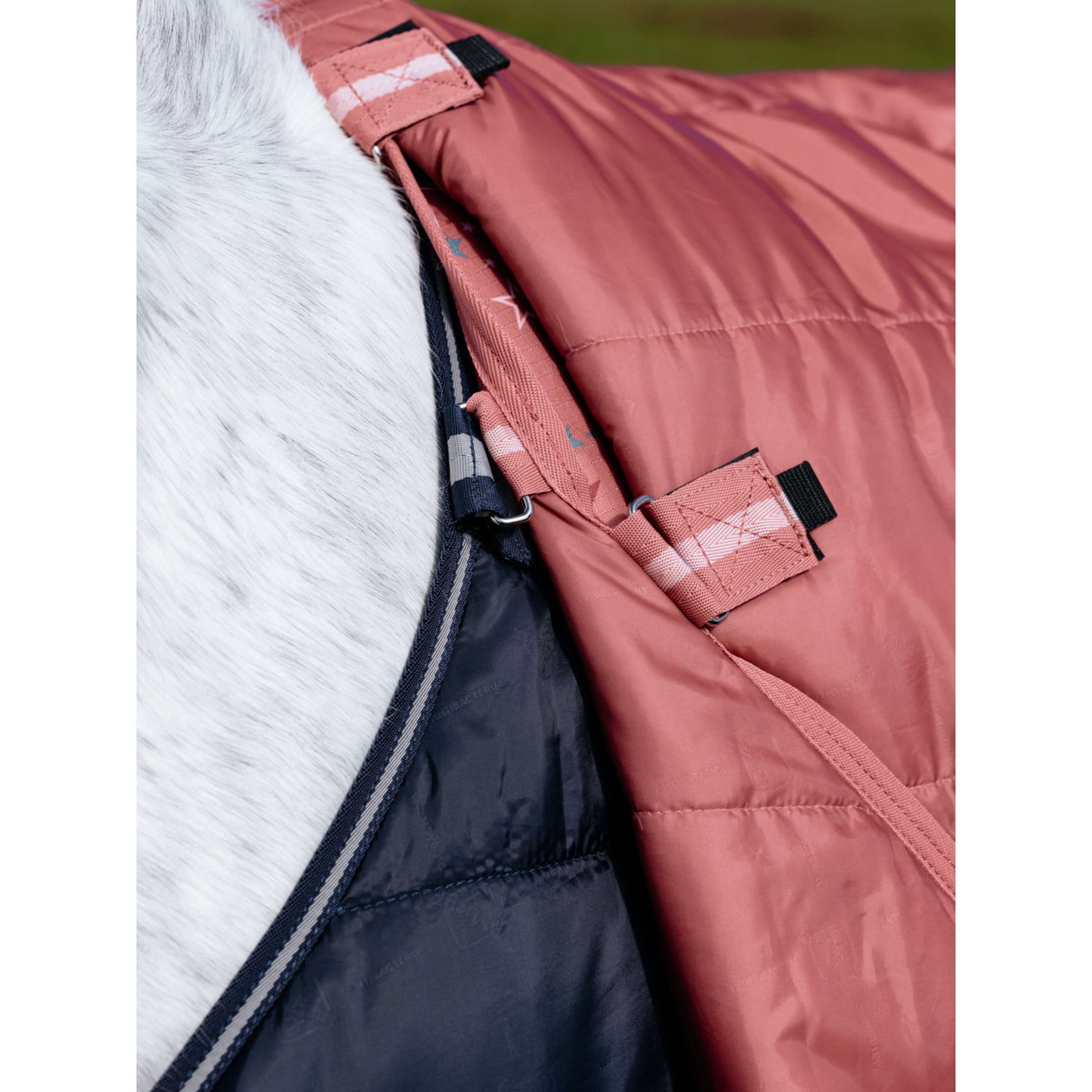 LeMieux Regendeken Arika Star 0g Spiced Earth
