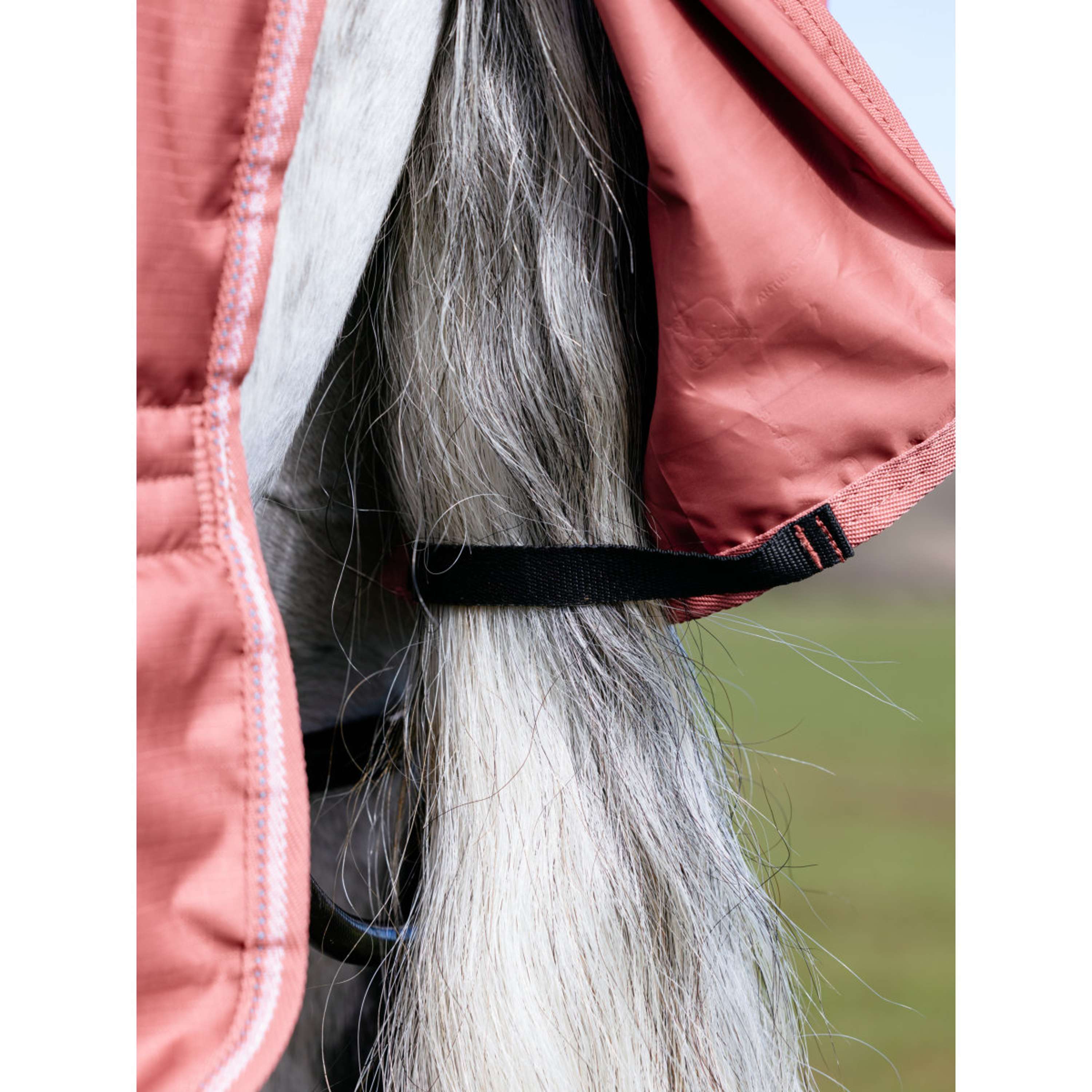 LeMieux Regendeken Arika Star 0g Spiced Earth