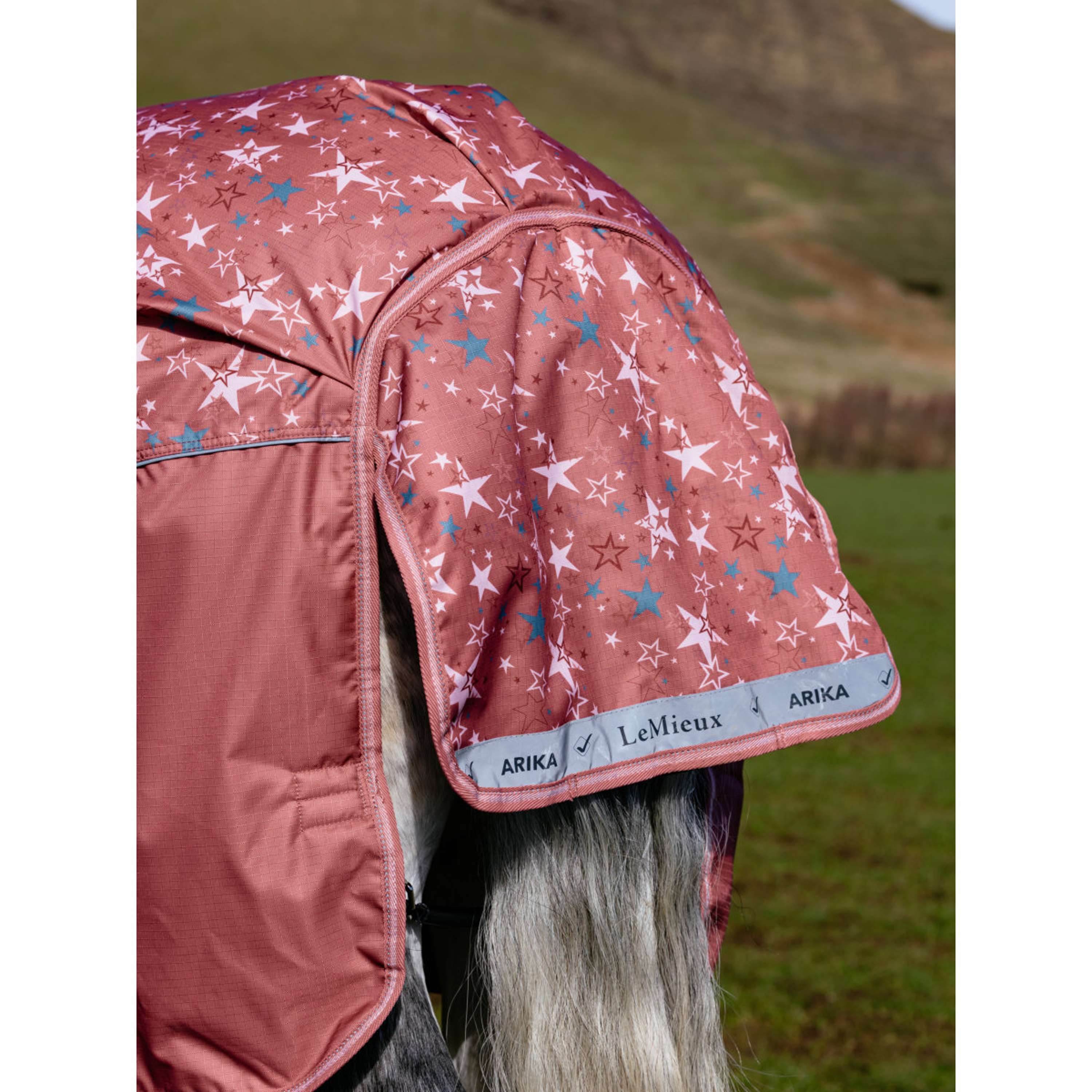 LeMieux Regendeken Arika Star 0g Spiced Earth