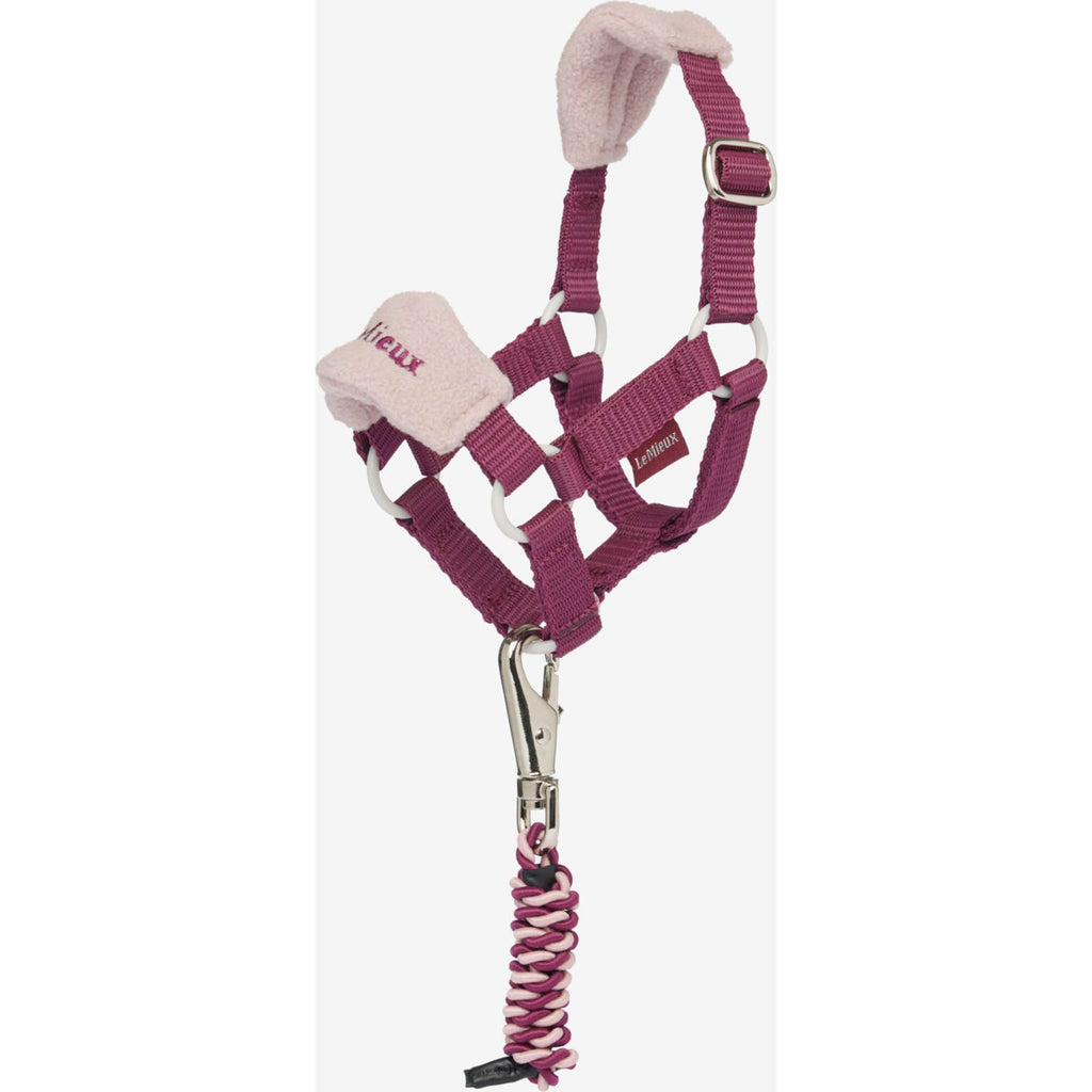 LeMieux Toy Pony Halster set Blackberry