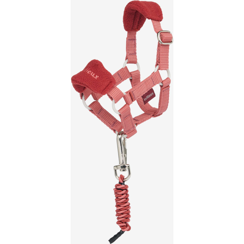 LeMieux Toy Pony Halster set Spiced Earth