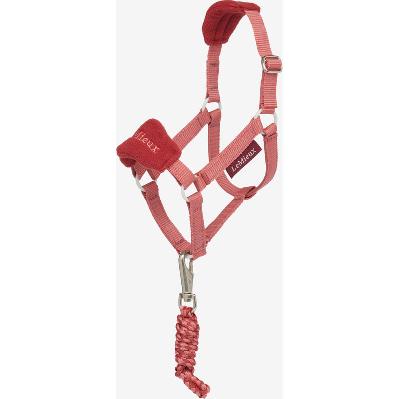 LeMieux Hobby Horse Halsterset Spiced Earth