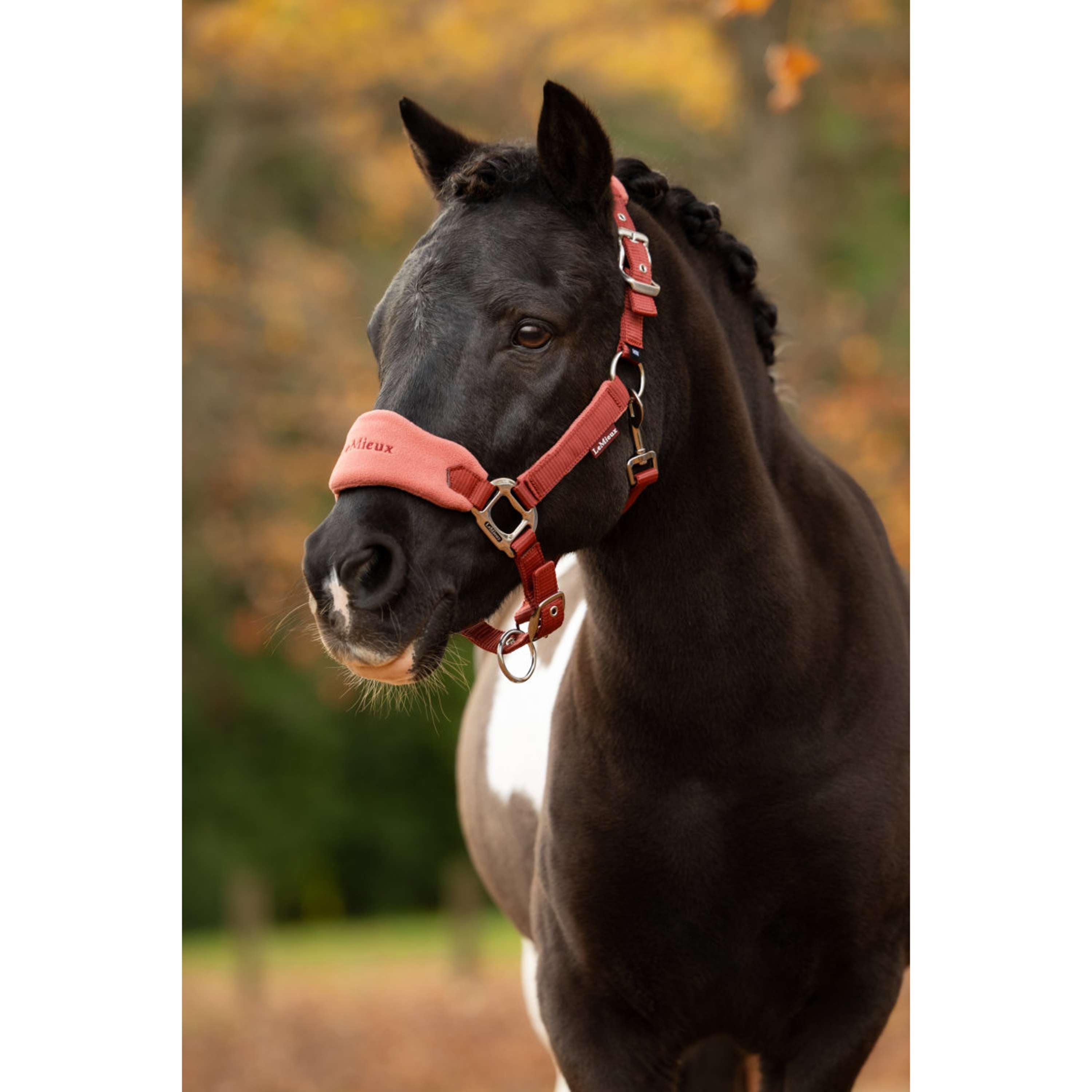 LeMieux Halsterset Vogue Russet