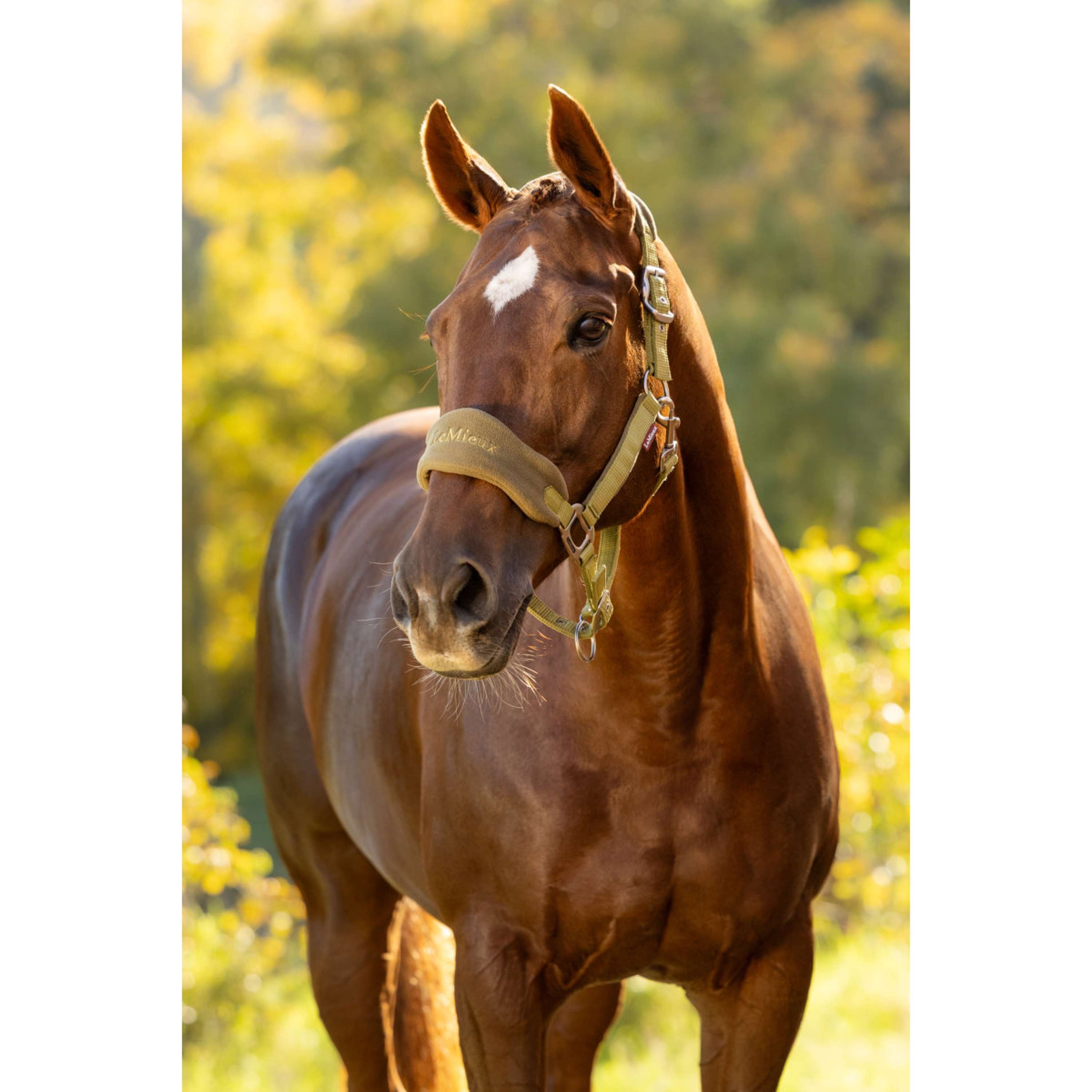 LeMieux Halsterset Vogue Gooseberry