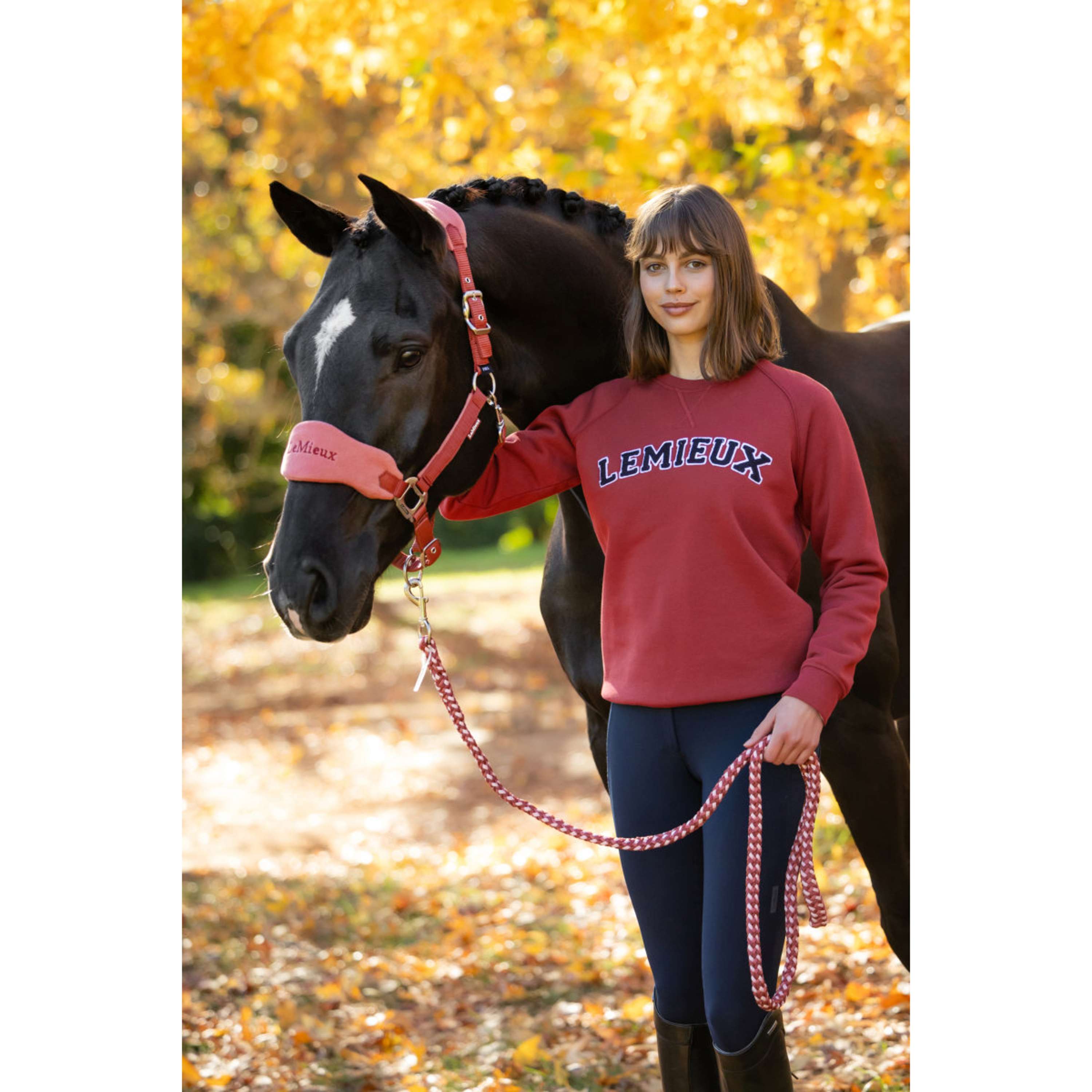 LeMieux Trui Vida Varsity Crew Neck Russet