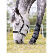 LeMieux Halster Break Away Zwart