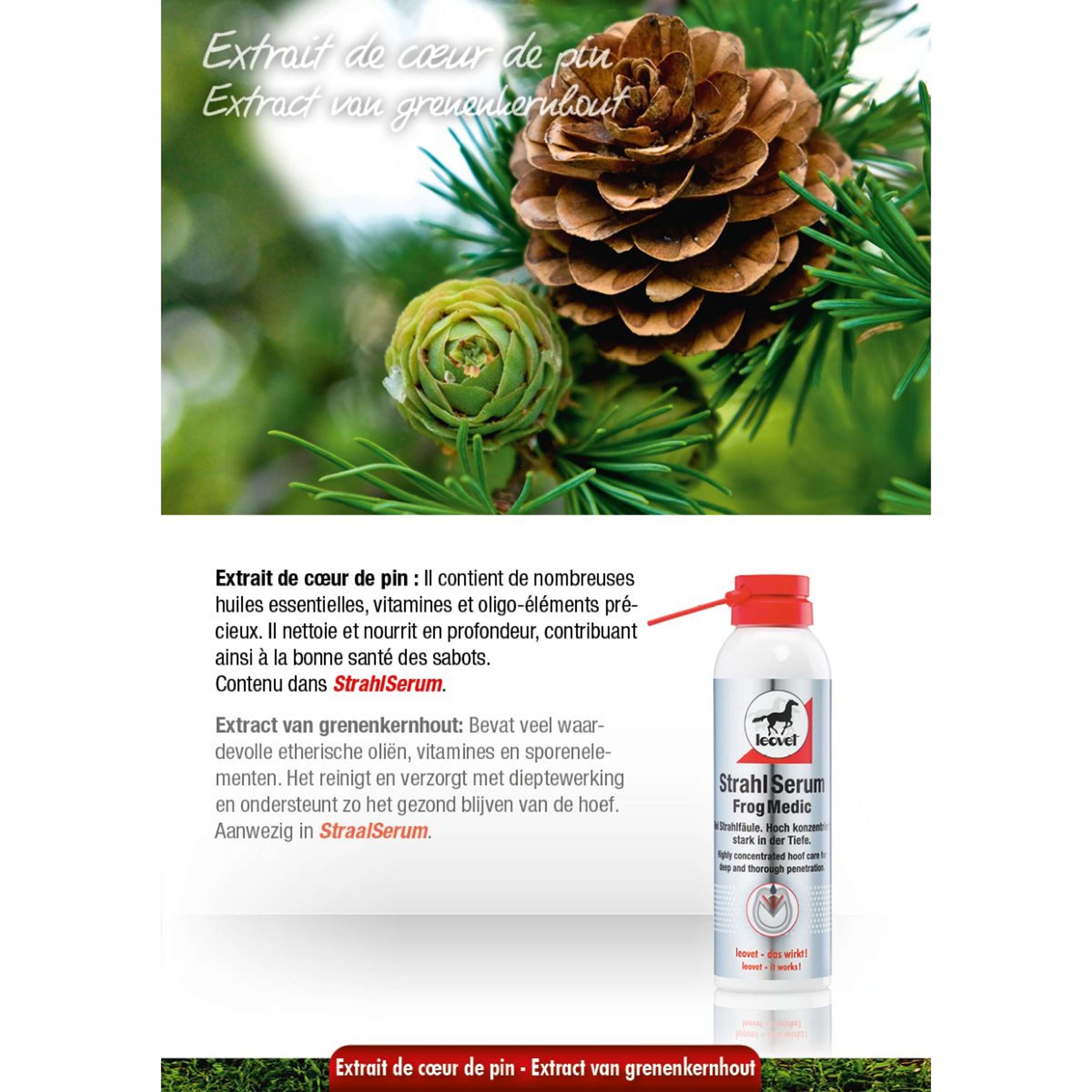 Leovet Straalsan Leovet Straalsan