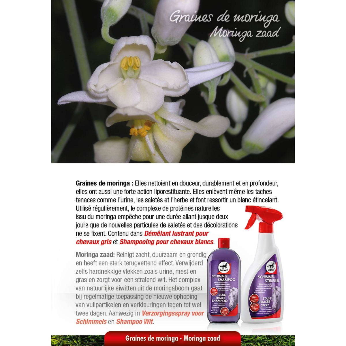 Leovet Milton-wit Shampoo