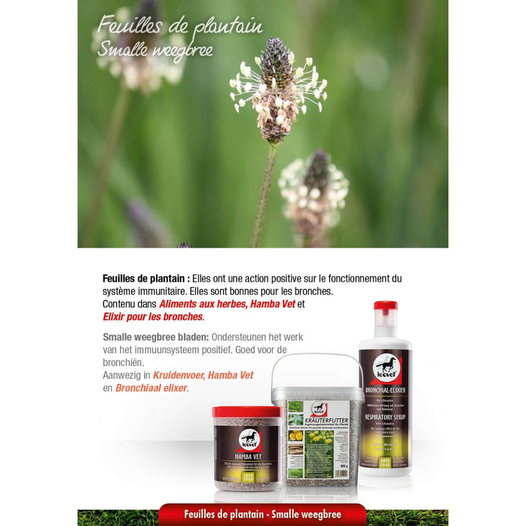 Leovet Kruidenvoer