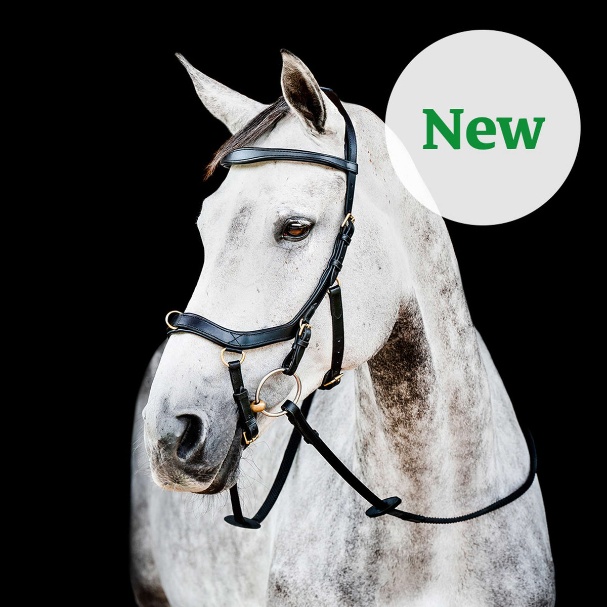 Rambo Micklem Multi Bridle New Zwart