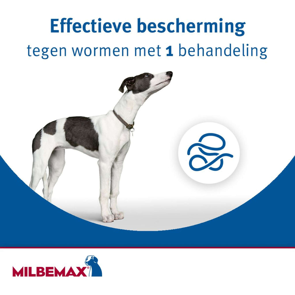Milbemax Chewy Kauwtablet Hond <5kg