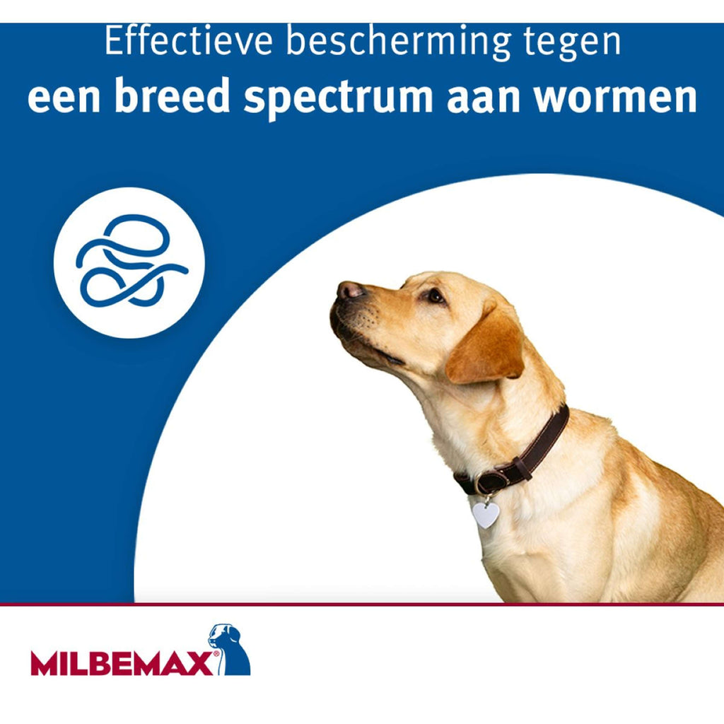 Milbemax Chewy Kauwtablet Hond <5kg