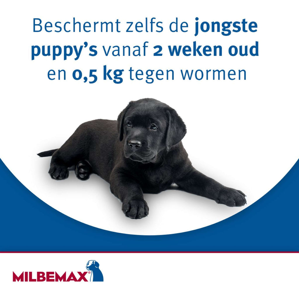 Milbemax Chewy Kauwtablet Hond <5kg