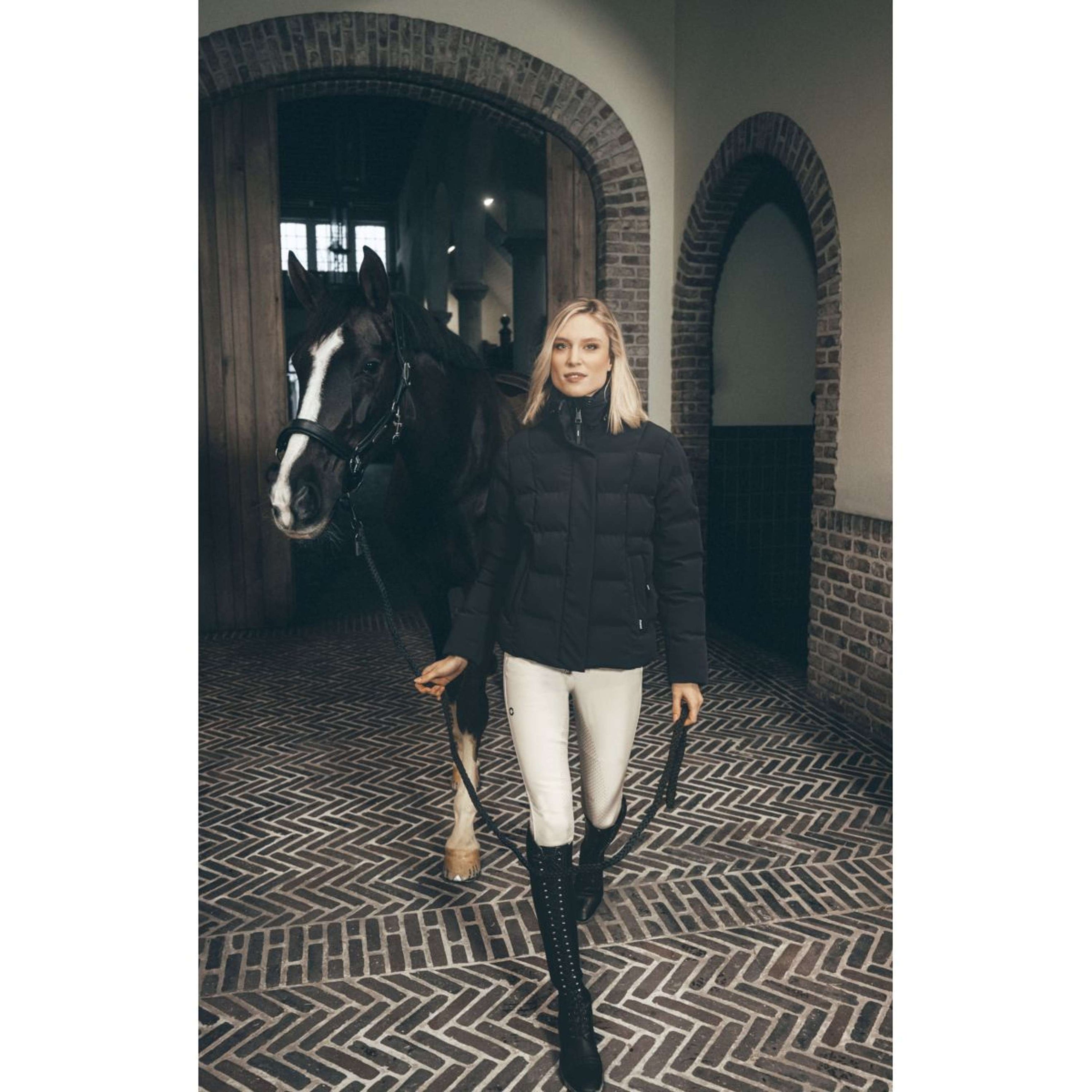 Pikeur Jack Quilted Athleisure AW26 Navy Blue Pikeur Jack Quilted Athleisure AW26 Navy Blue